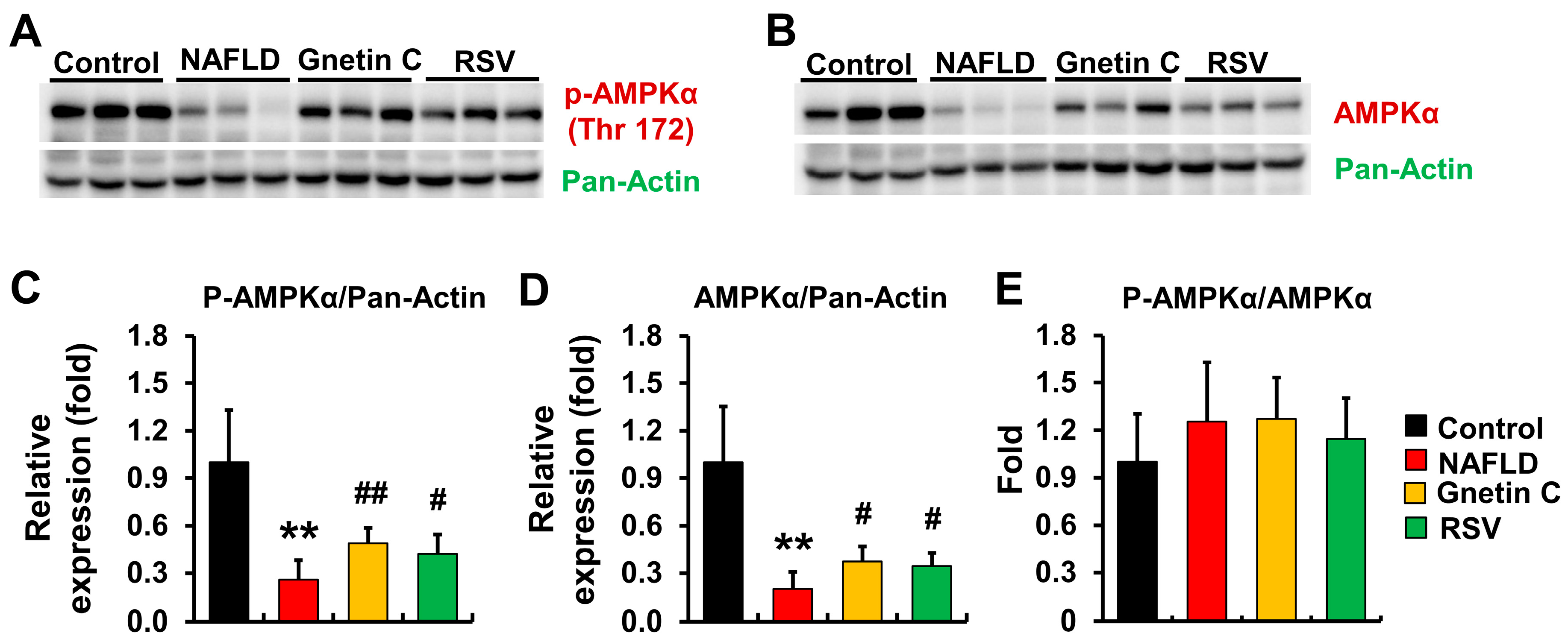 Nutrients 15 03888 g008