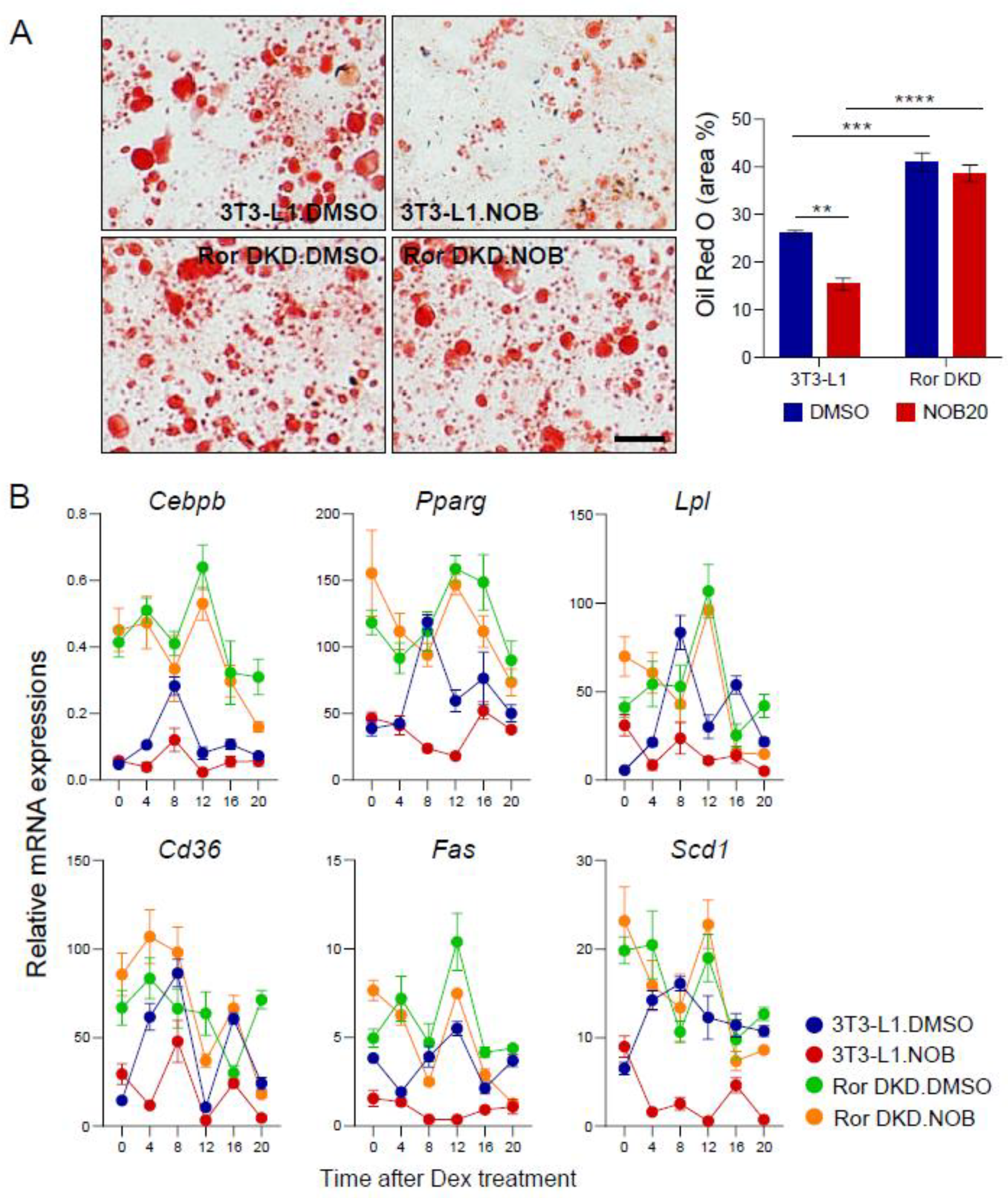 Nutrients 15 03919 g005