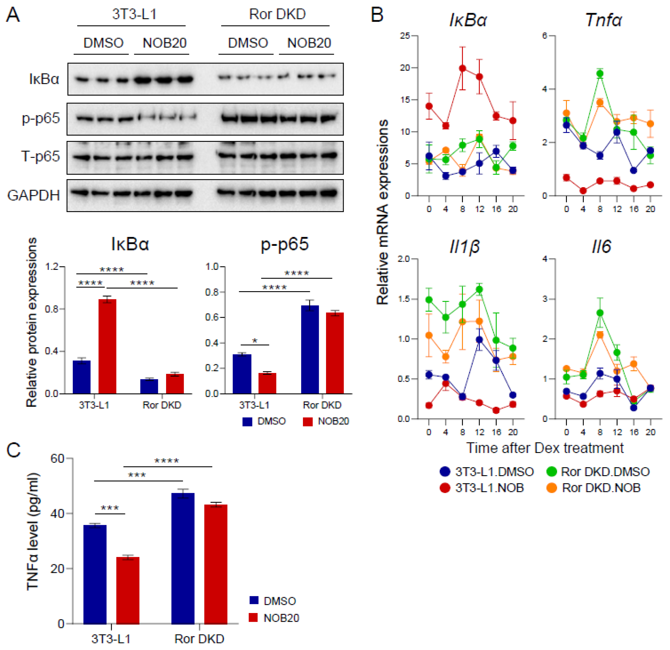 Nutrients 15 03919 g006