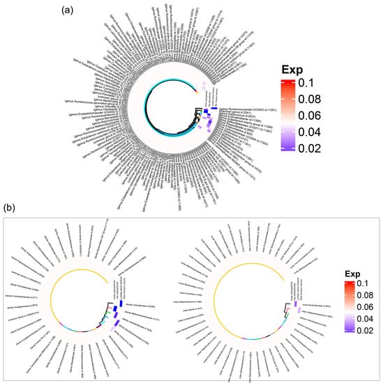 Nutrients | Free Full-Text | Causal Link Between Gut Microbiota ...