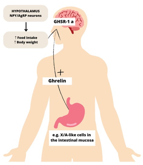 Loss of appetite and swollen belly? Find out all the key markers of  gastrointestinal diseases