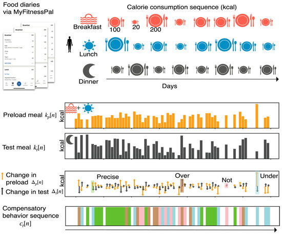 Identifying Activity Level for Canine Calorie Calculations