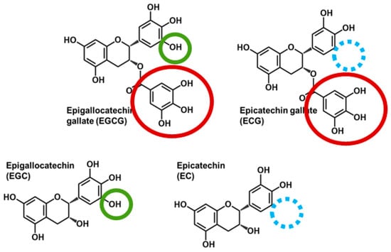 Nutrients | Free Full-Text | Gallation and B-Ring Dihydroxylation