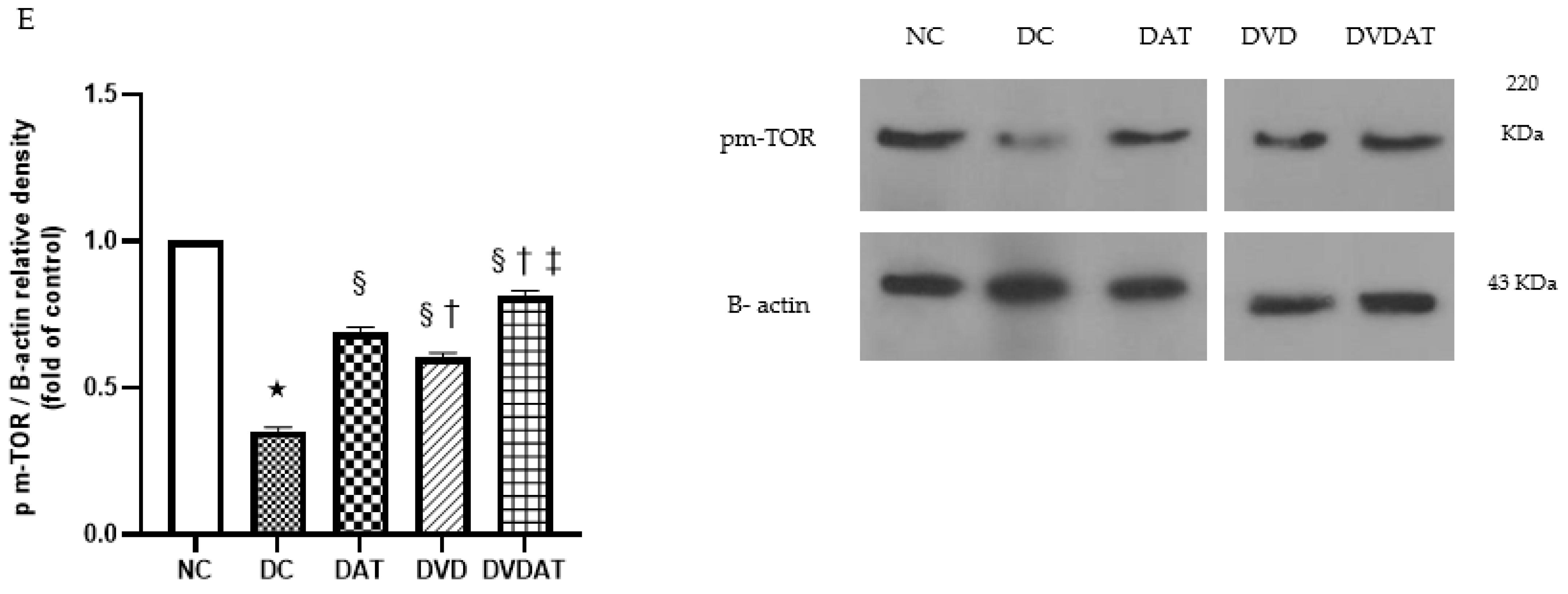 Nutrients 15 04024 g003b