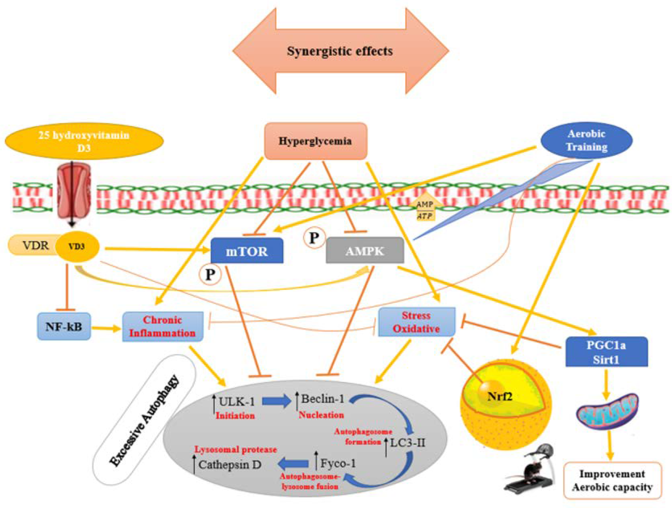 Nutrients 15 04024 g006