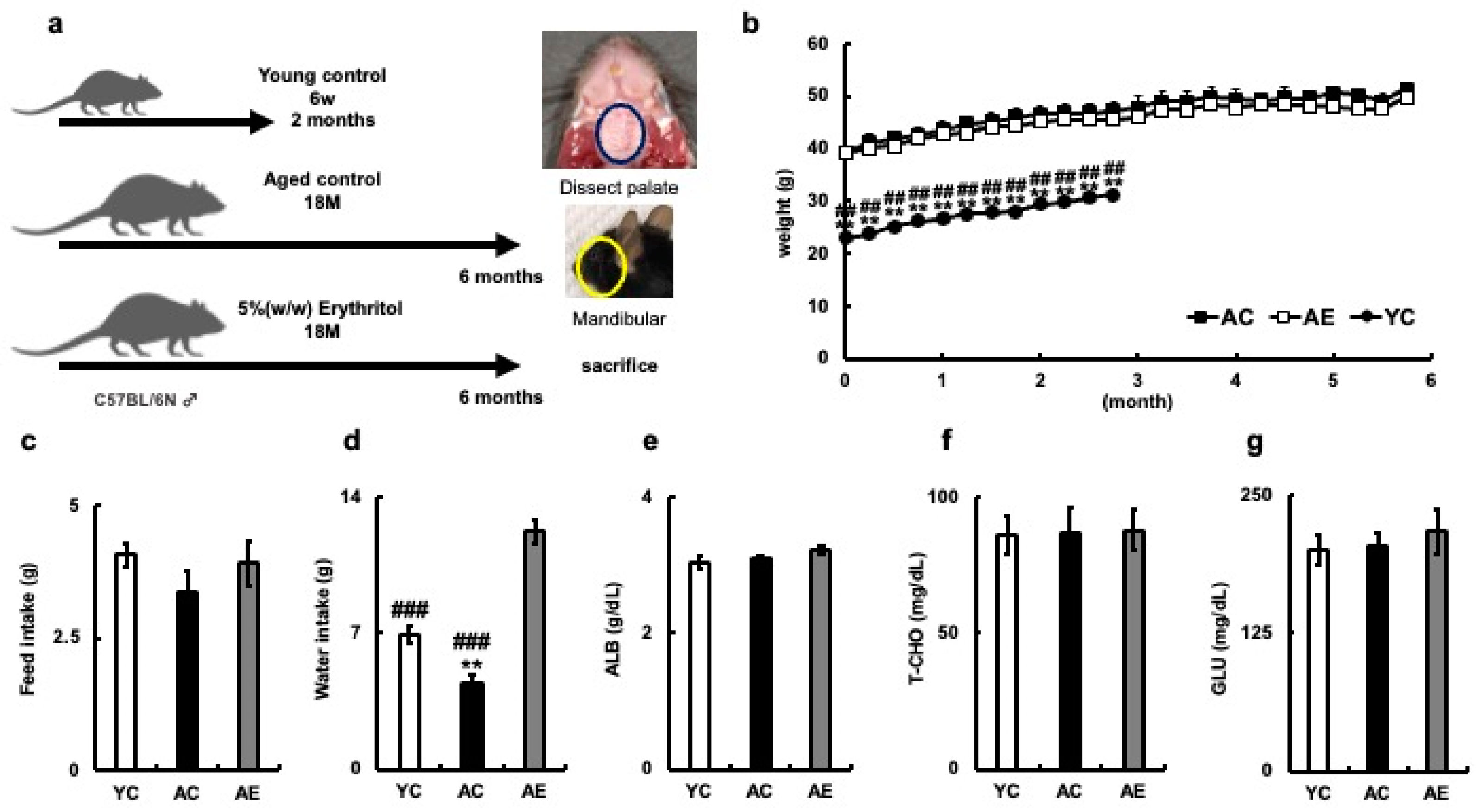 Nutrients 15 04050 g001