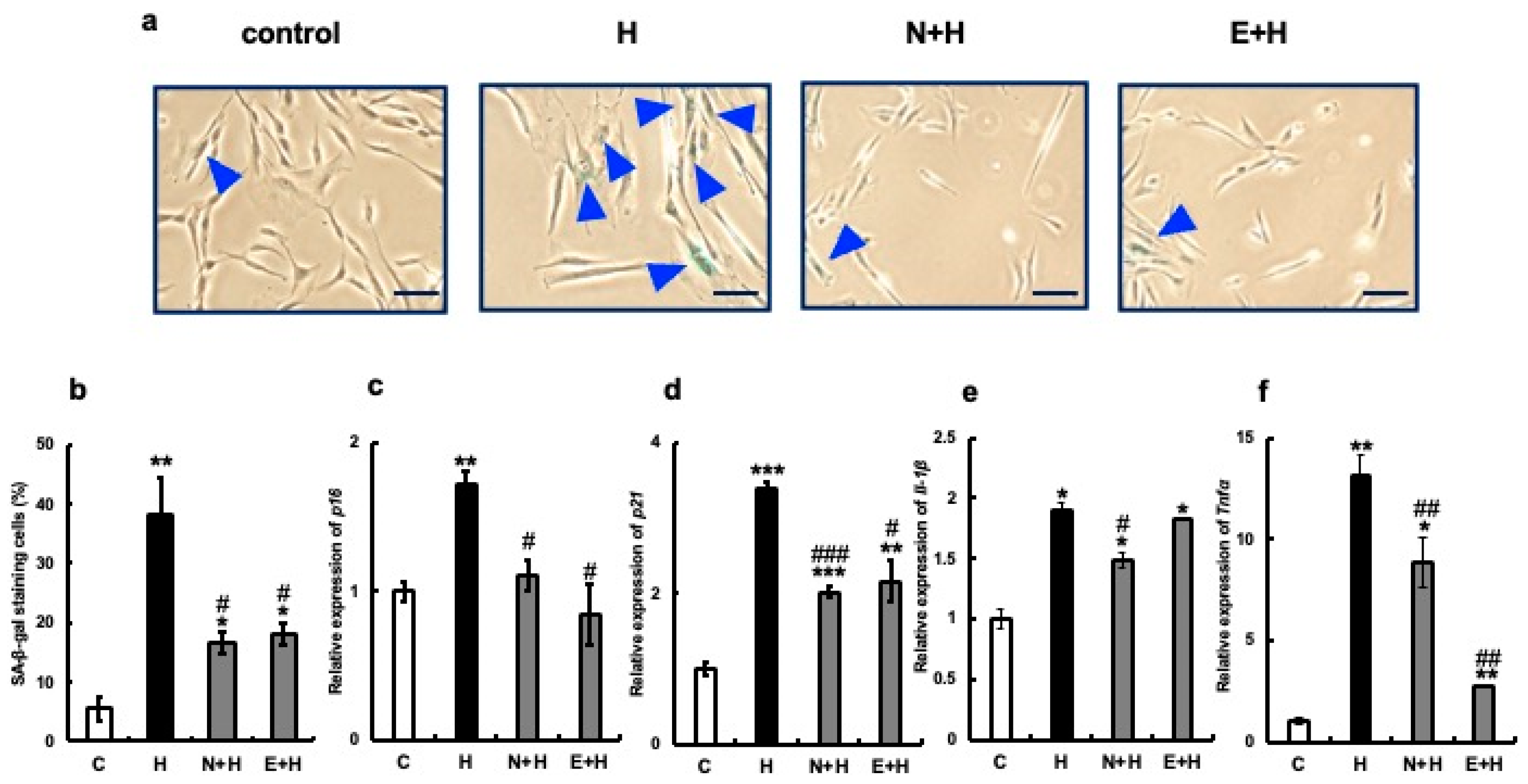 Nutrients 15 04050 g004