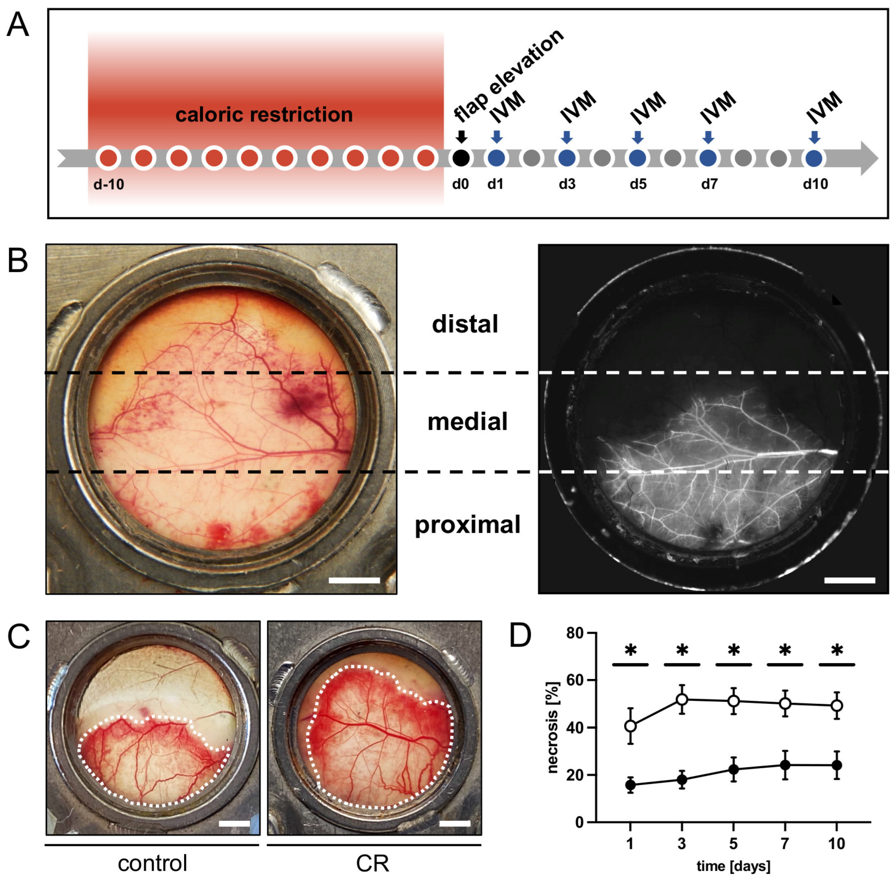 Nutrients 15 04076 g001