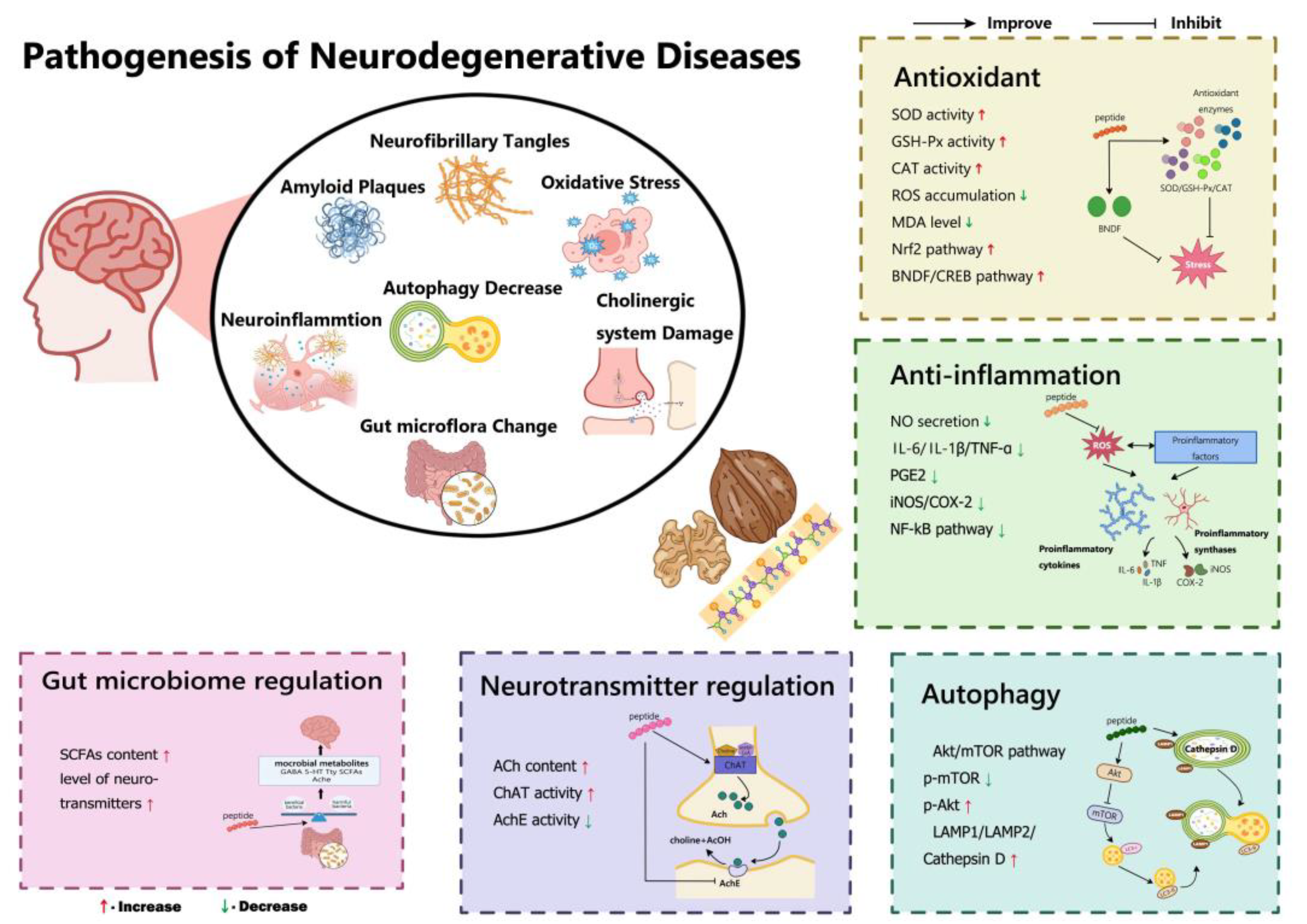 Nutrients 15 04085 g002