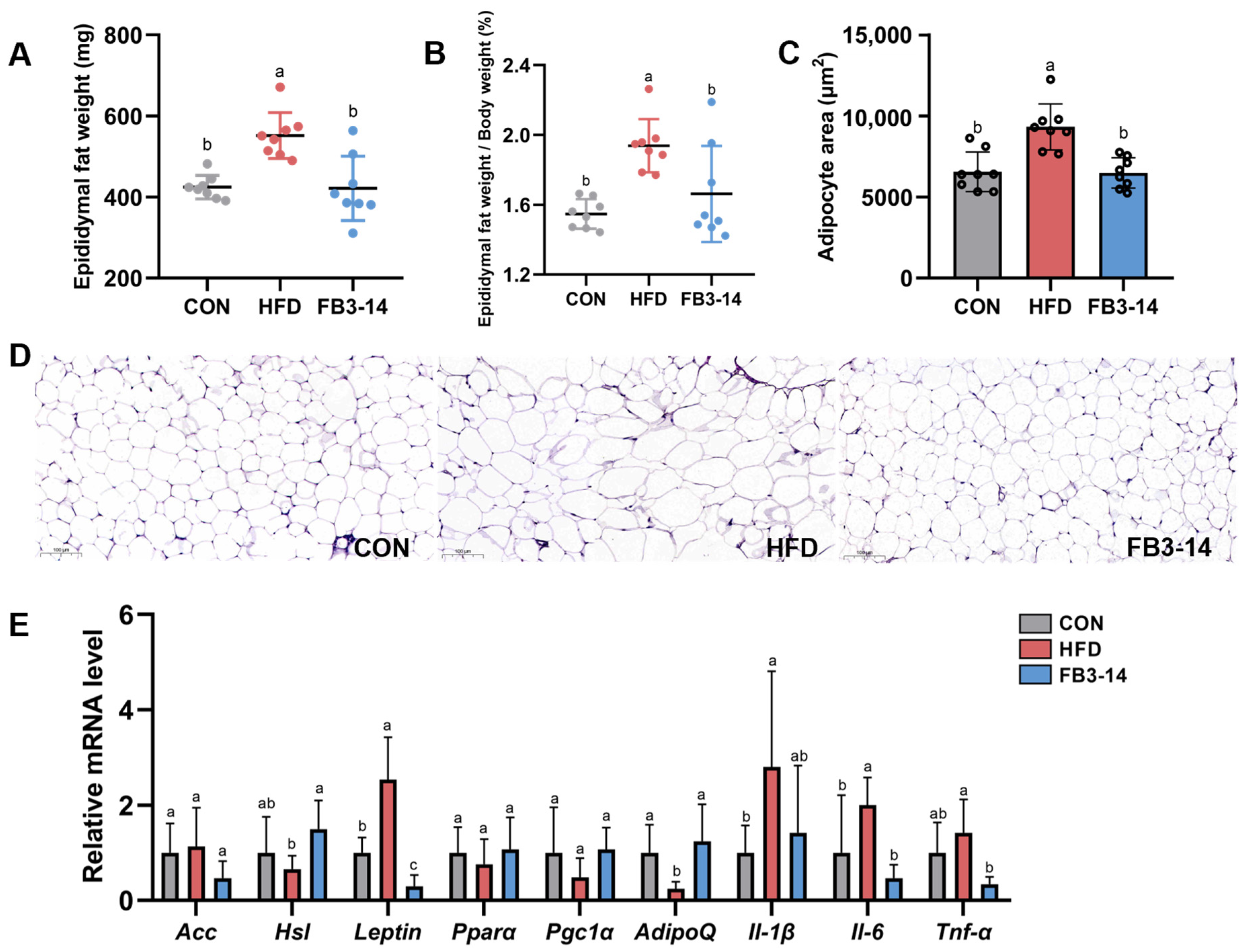 Nutrients 15 04104 g002
