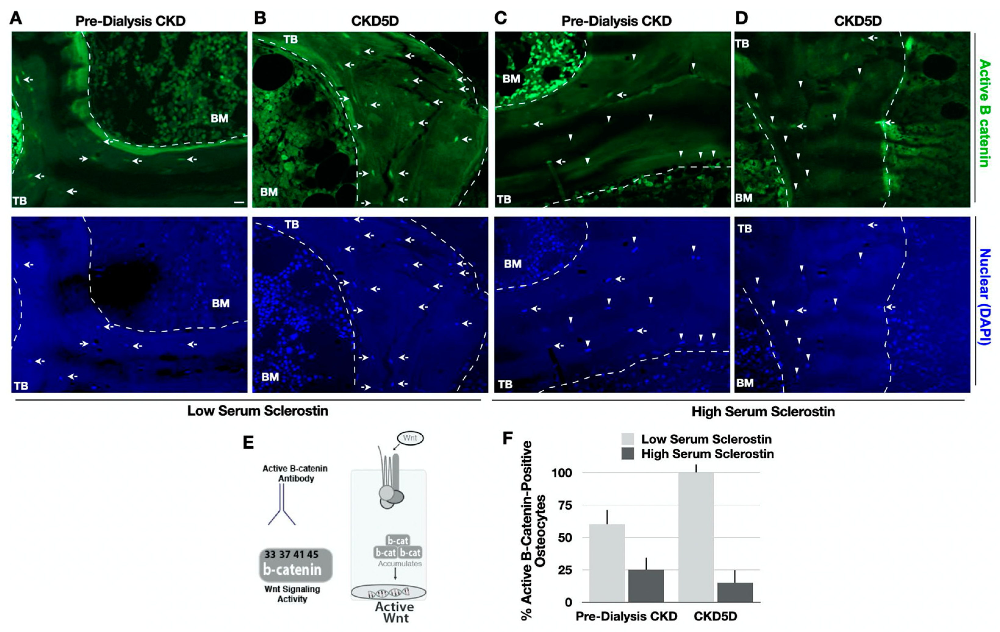 Nutrients 15 04127 g004