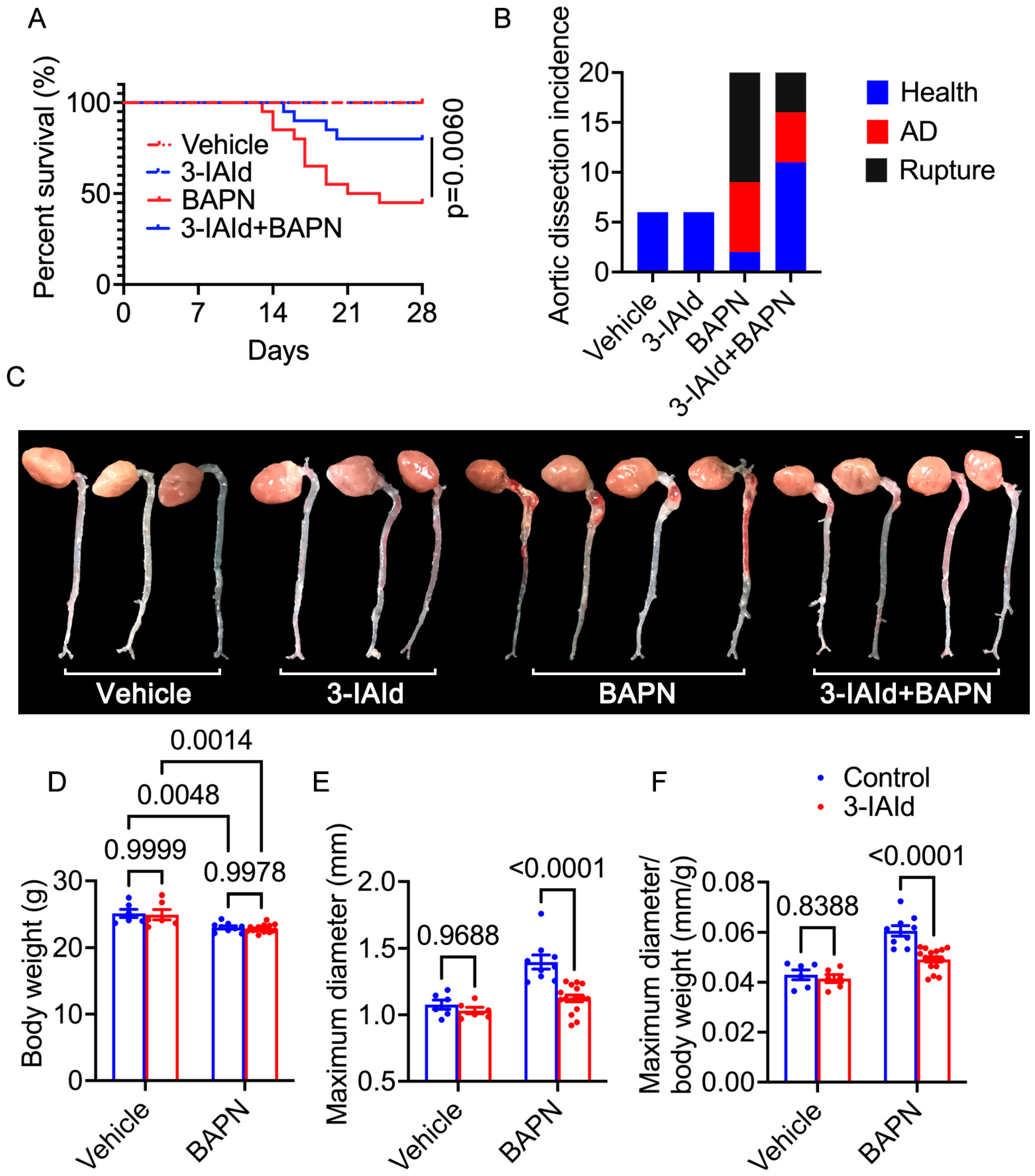 Nutrients 15 04150 g001