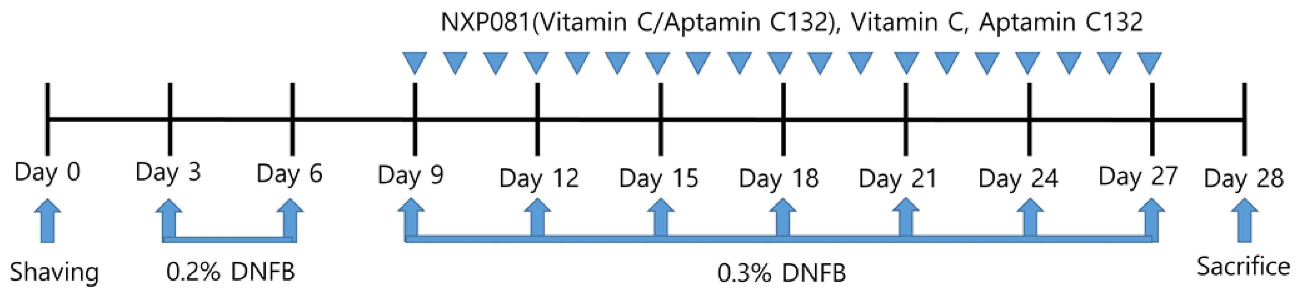 Nutrients 15 04172 g001 Nutrients 15 04172 g001