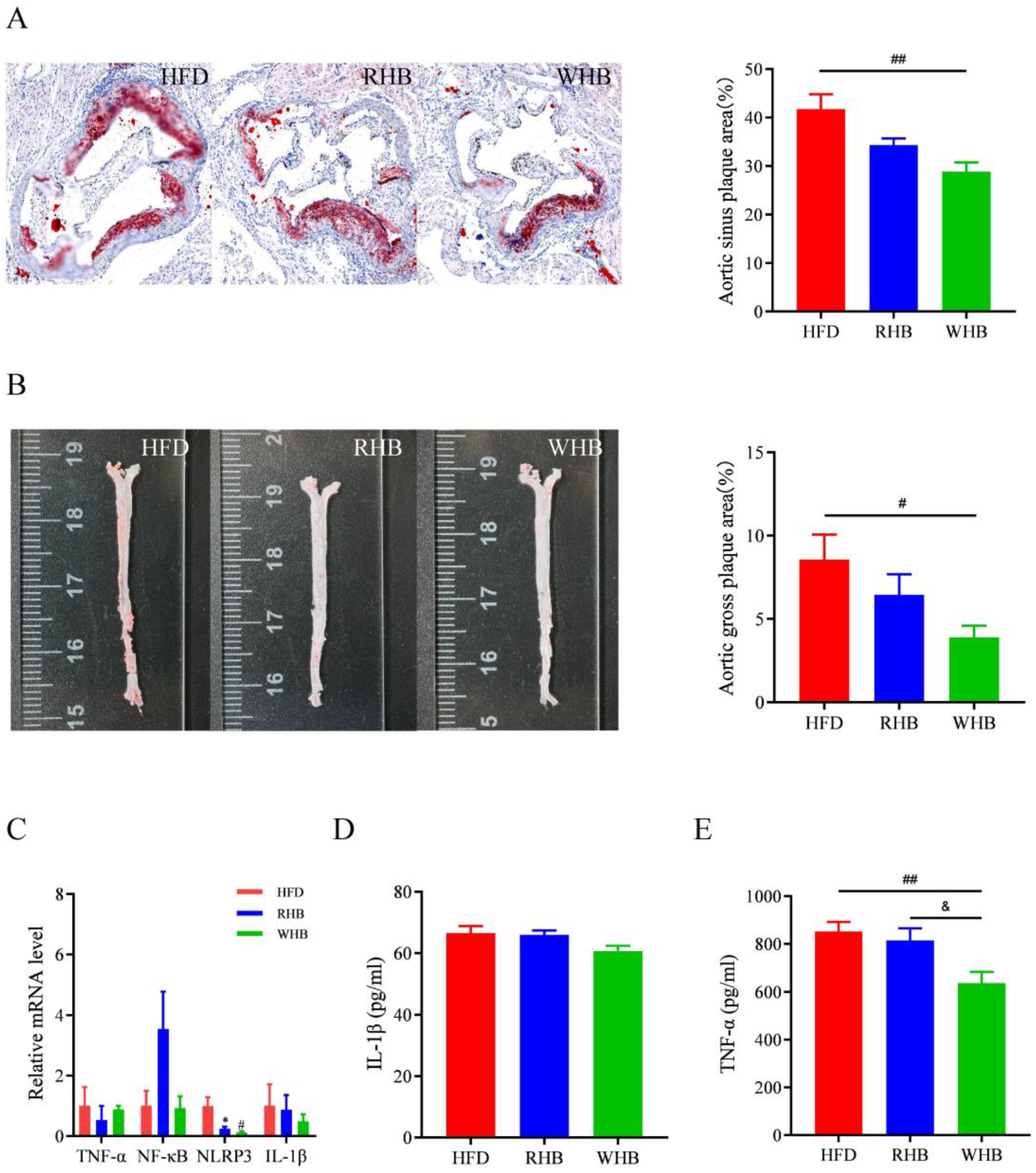 Nutrients 15 04186 g002