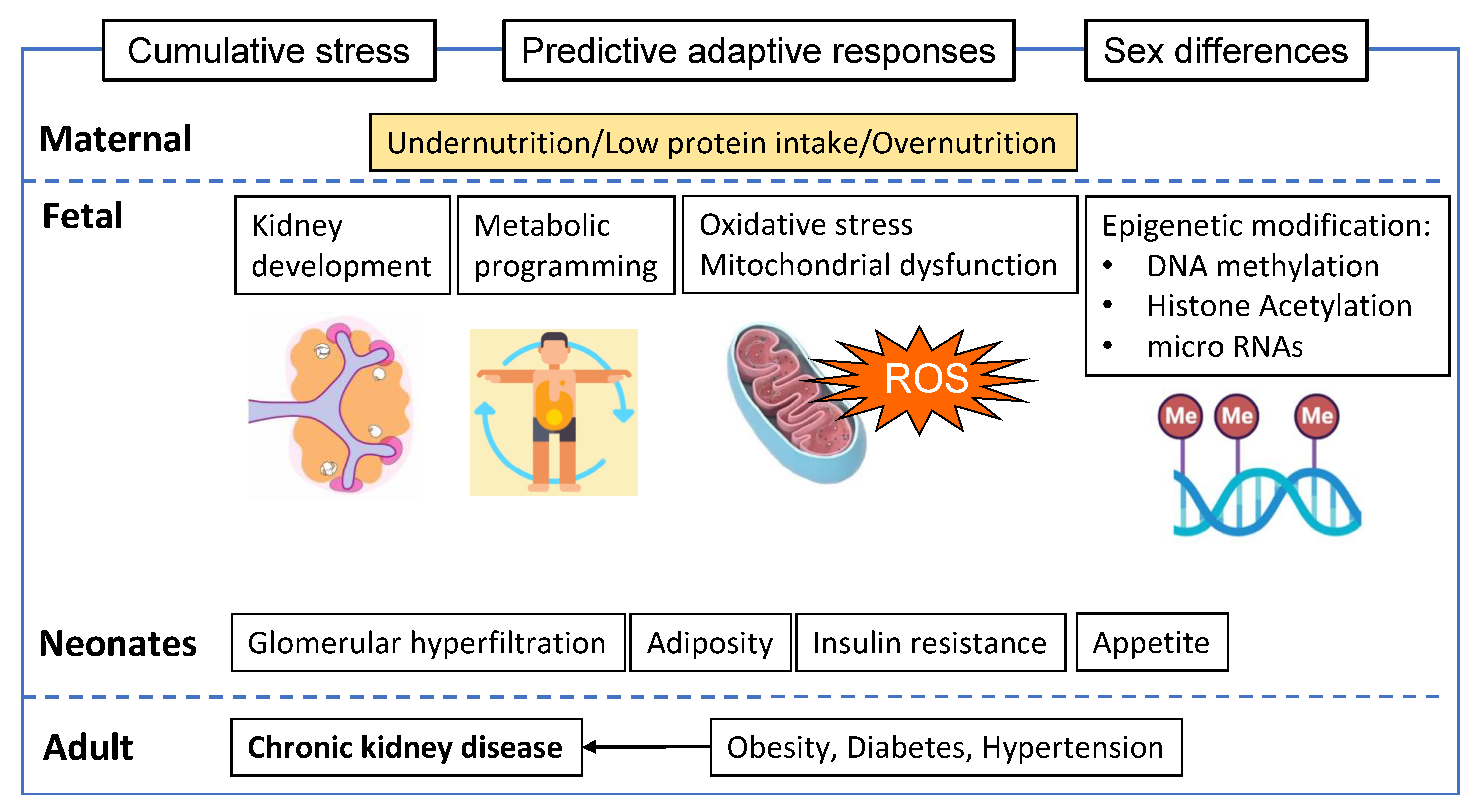 https://www.mdpi.com/nutrients/nutrients-15-04207/article_deploy/html/images/nutrients-15-04207-g001.png