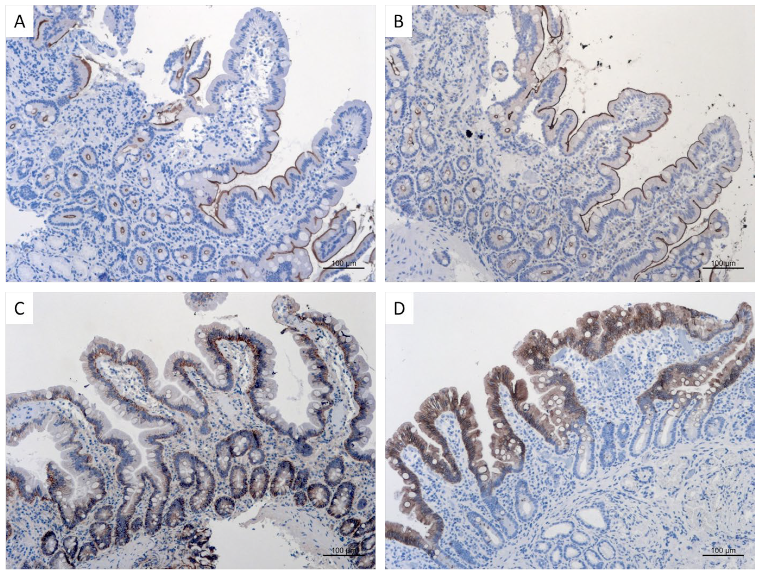 Nutrients 15 04220 g004