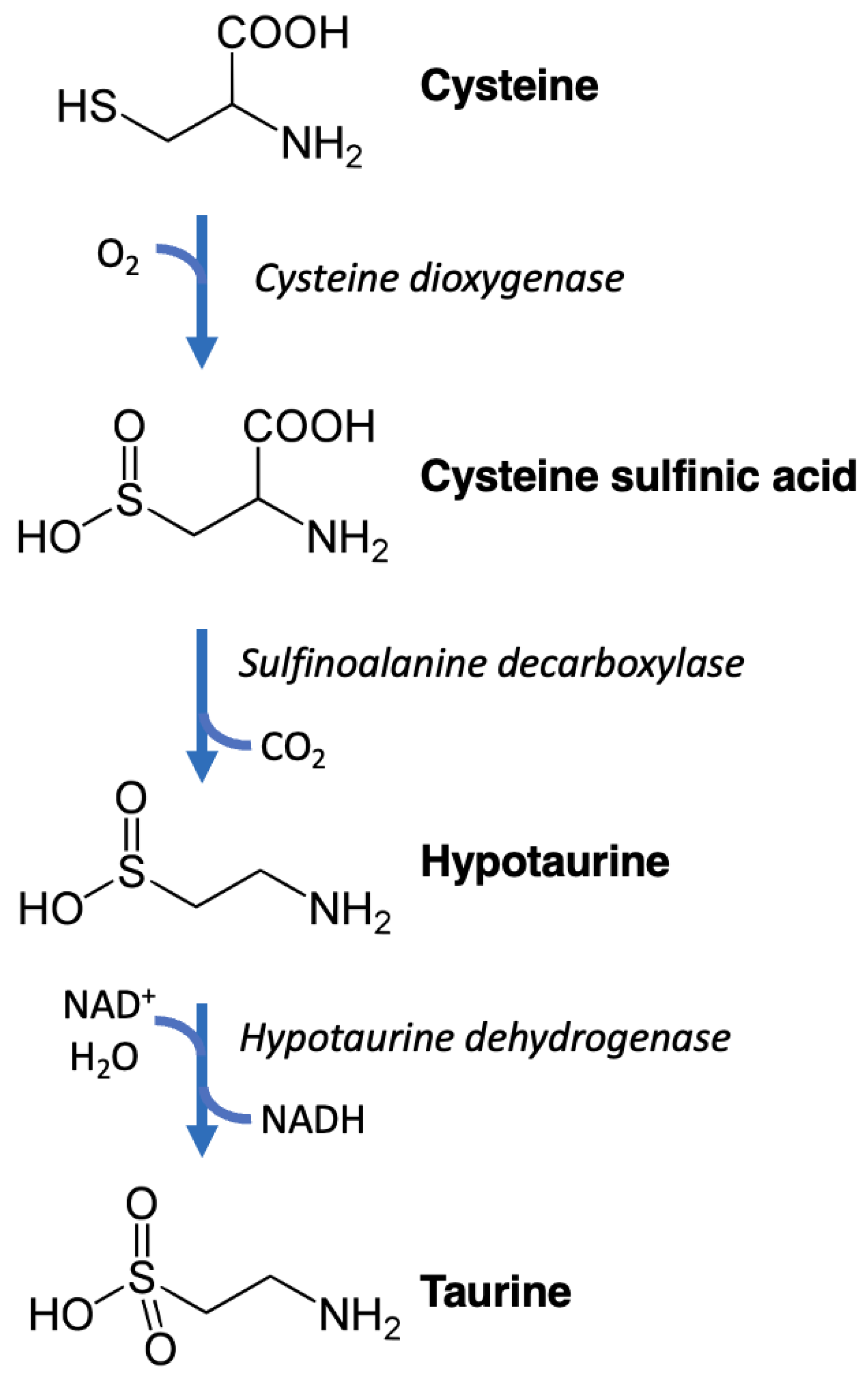 Nutrients 15 04236 g002 Nutrients 15 04236 g002