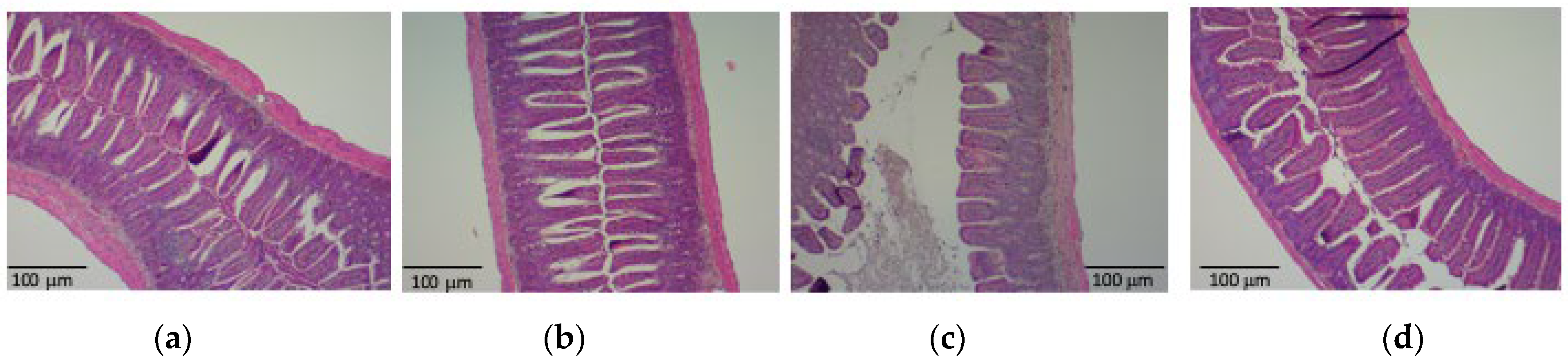 Nutrients 15 04252 g002a