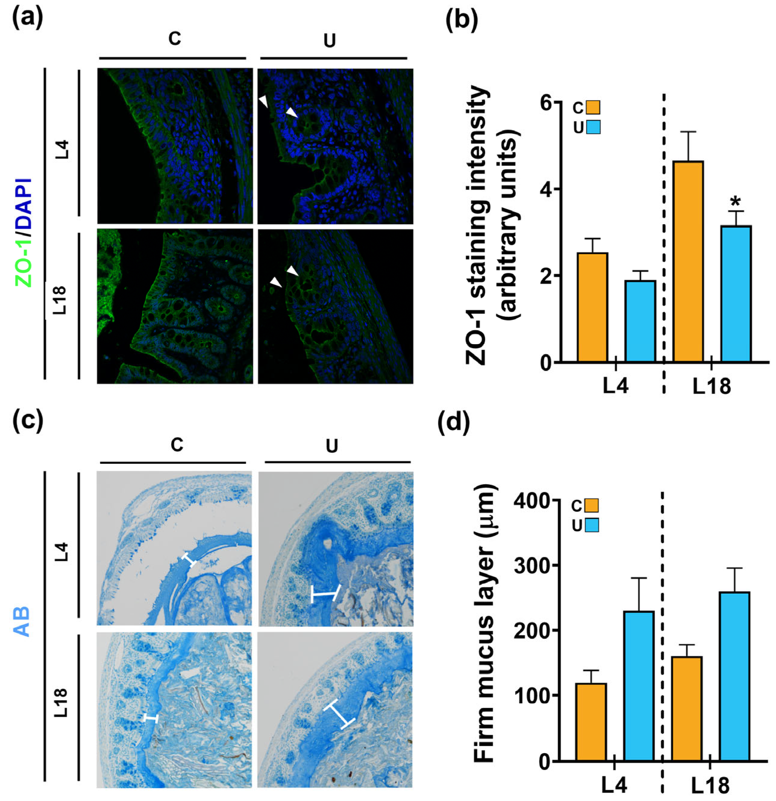 Nutrients 15 04322 g008