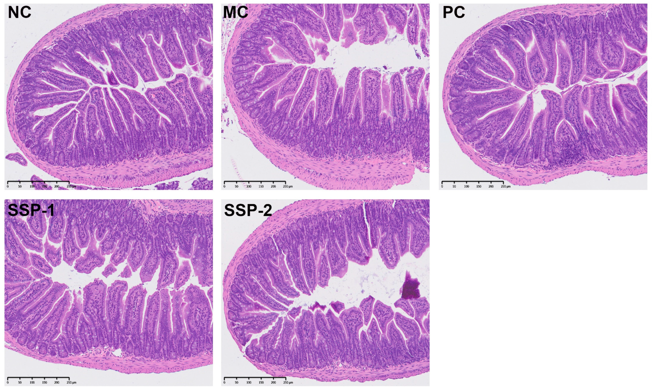 Nutrients 15 04364 g003
