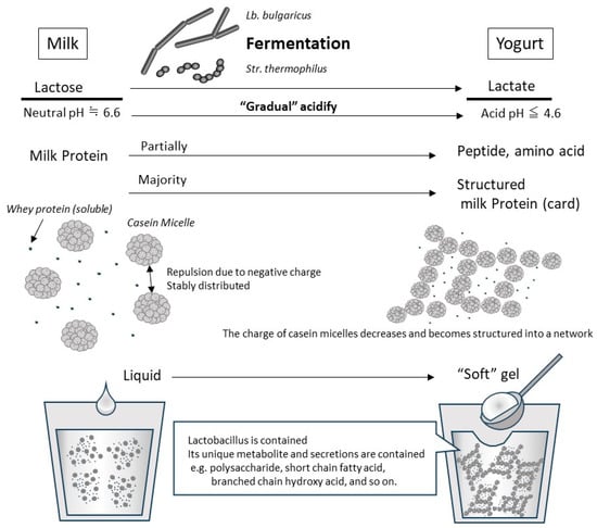 Preparation, physicochemical properties, and in vivo digestibility