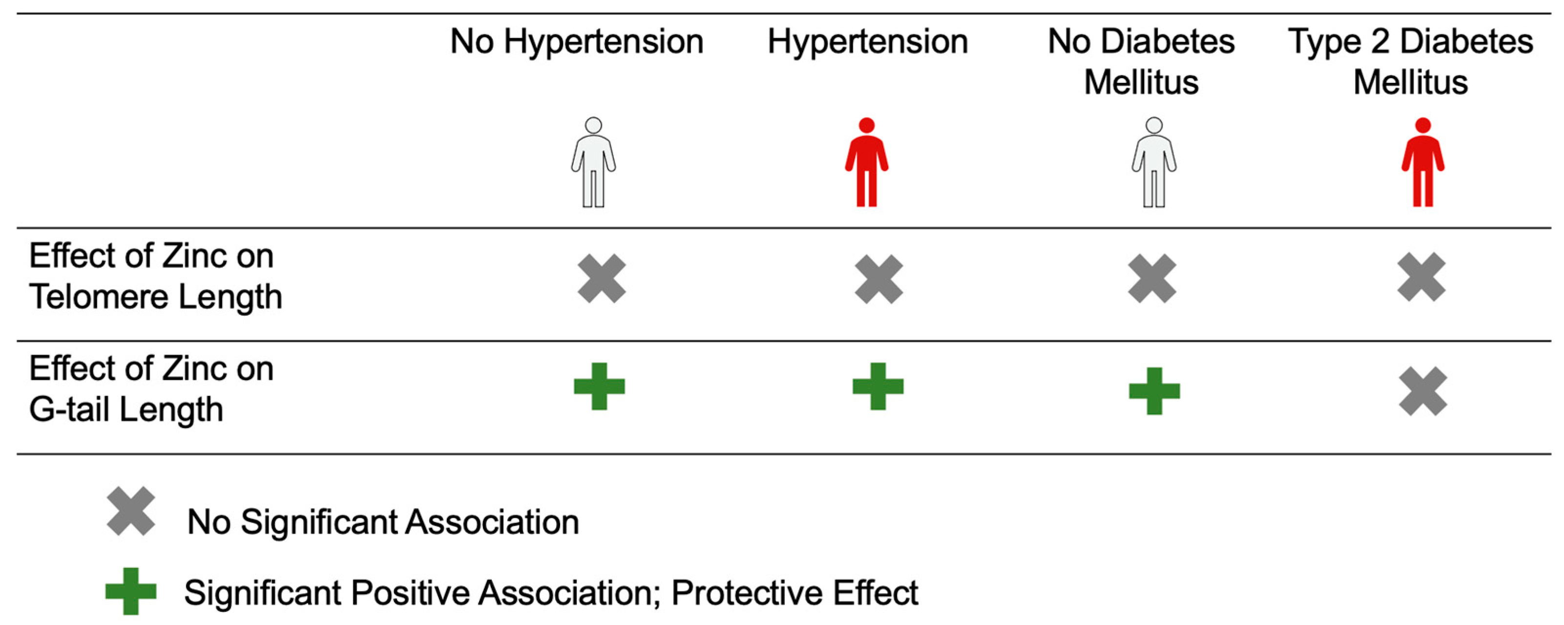 Nutrients | Free Full-Text | Does the Protective Effect of Zinc on