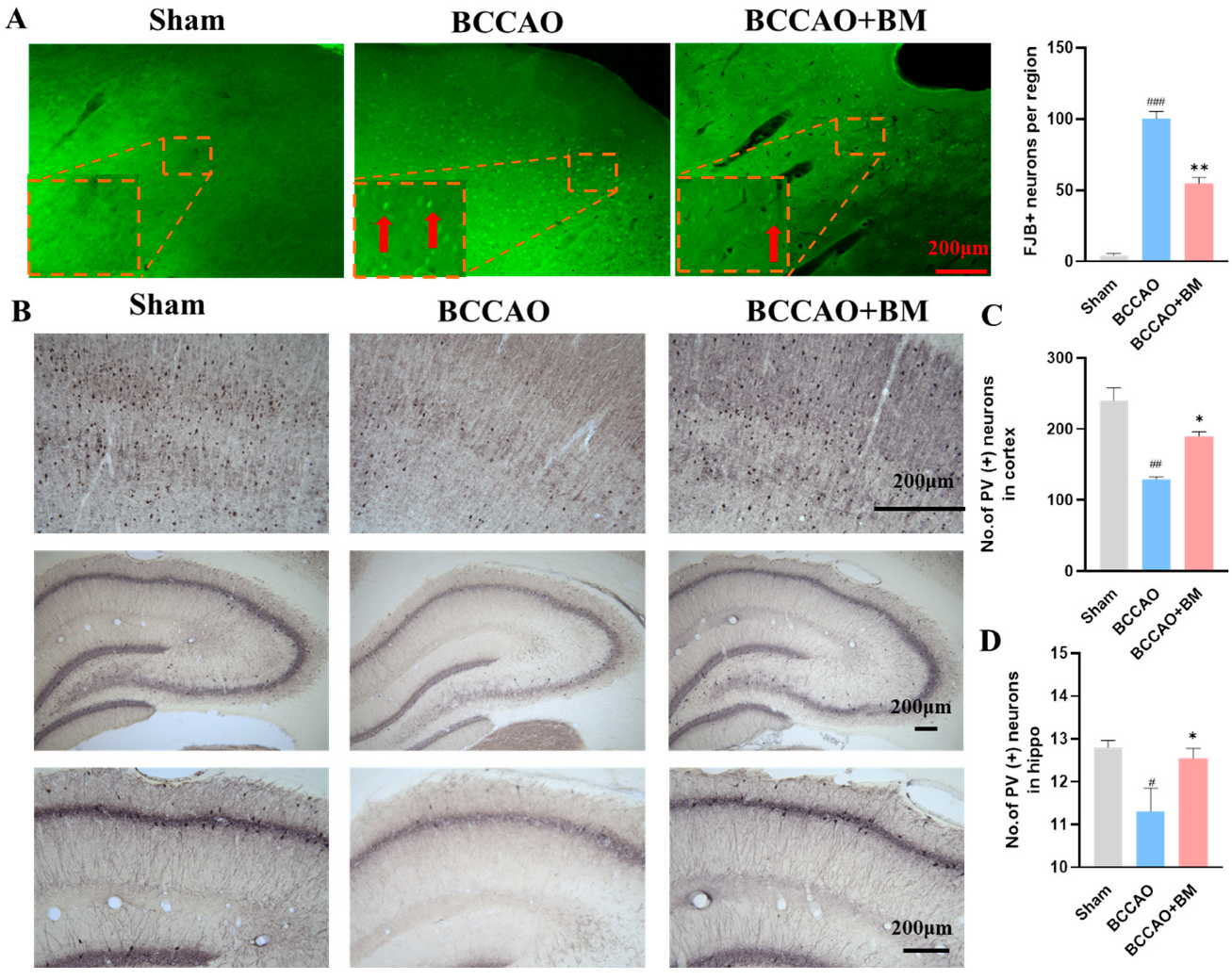 Nutrients 15 04381 g003a