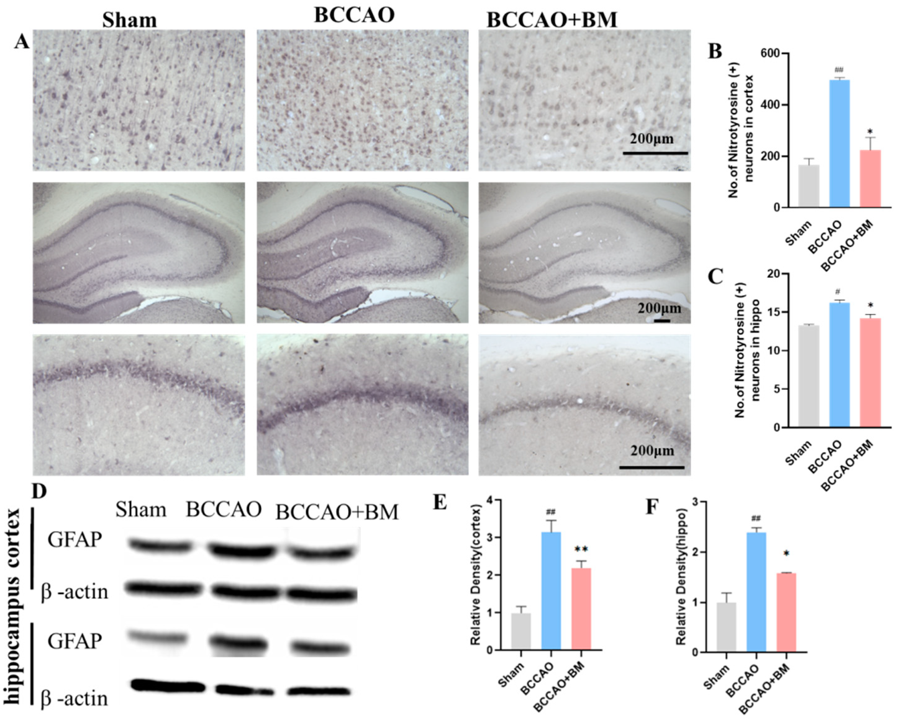 Nutrients 15 04381 g004
