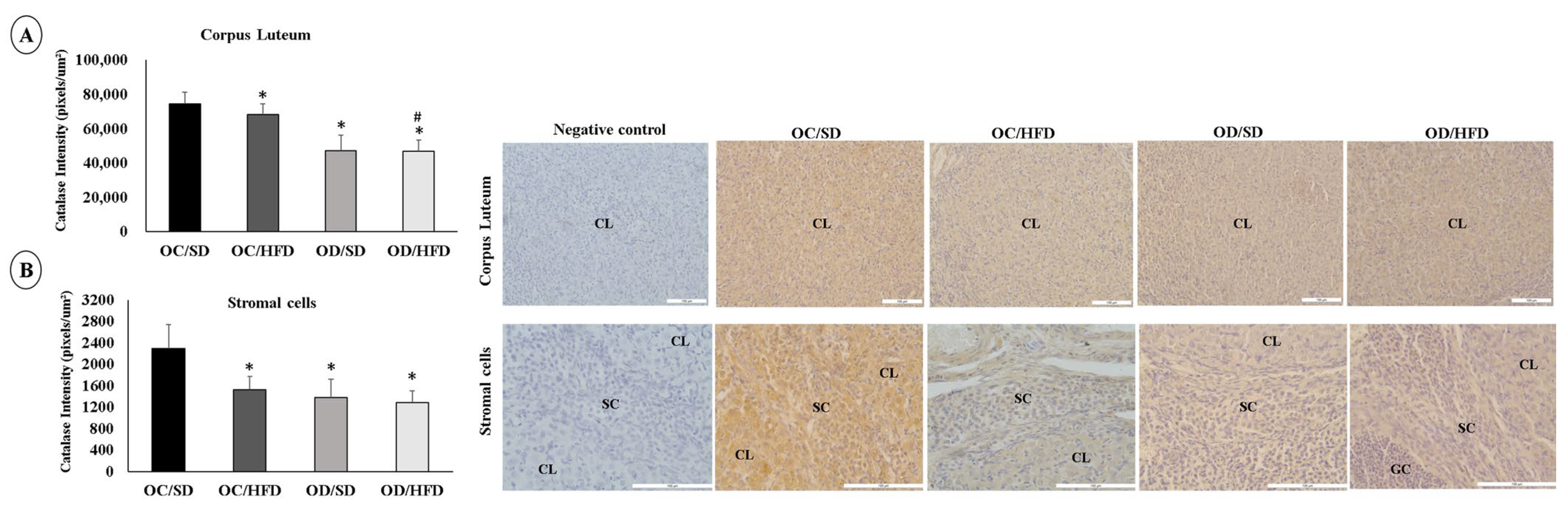 Nutrients 15 04407 g005 Nutrients 15 04407 g005