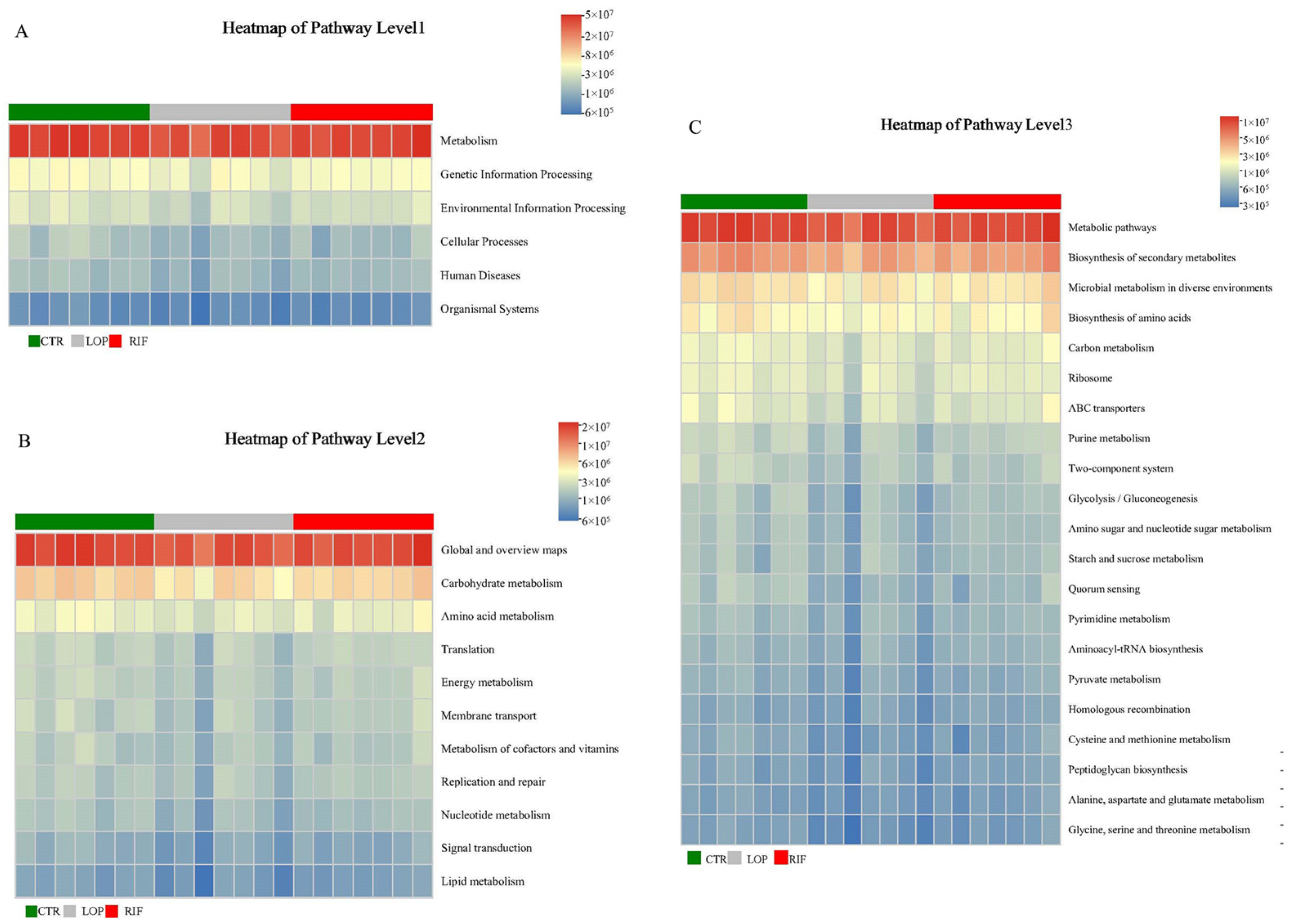 Nutrients 15 04502 g005