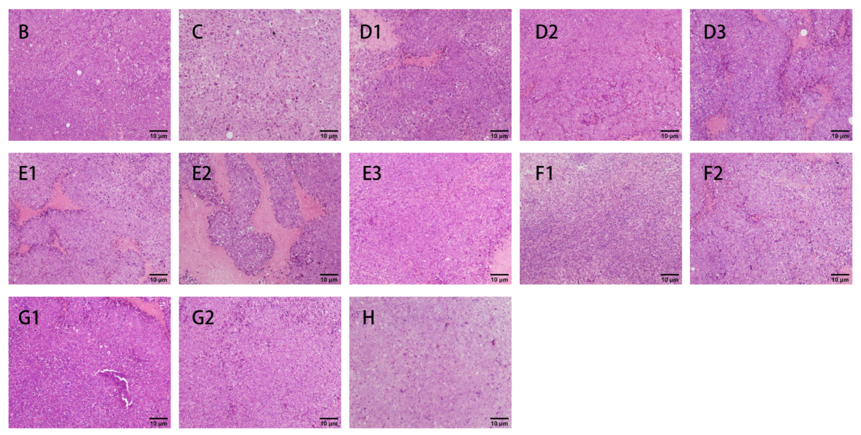 Nutrients 15 04527 g008
