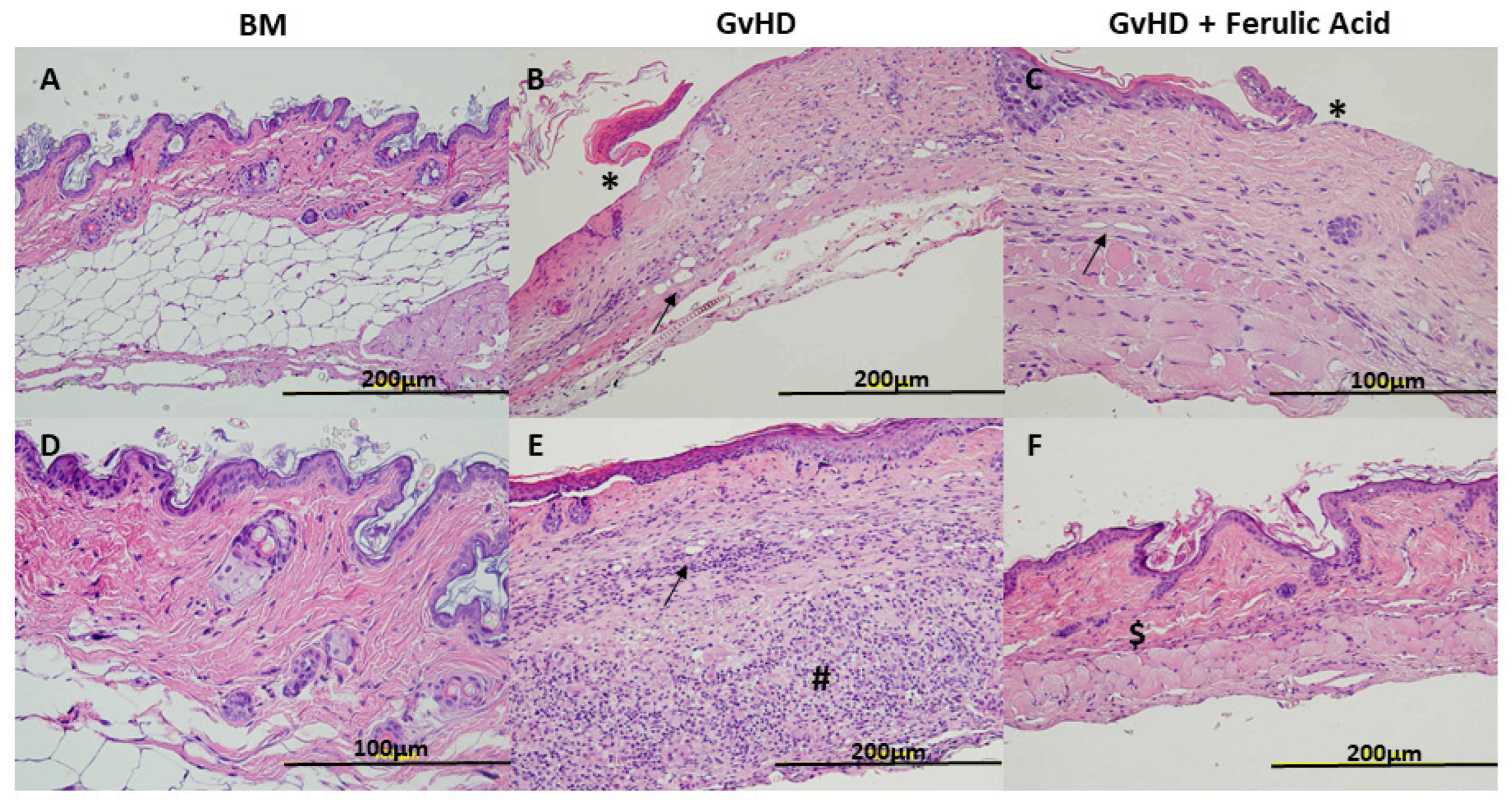 Nutrients 15 04582 g002