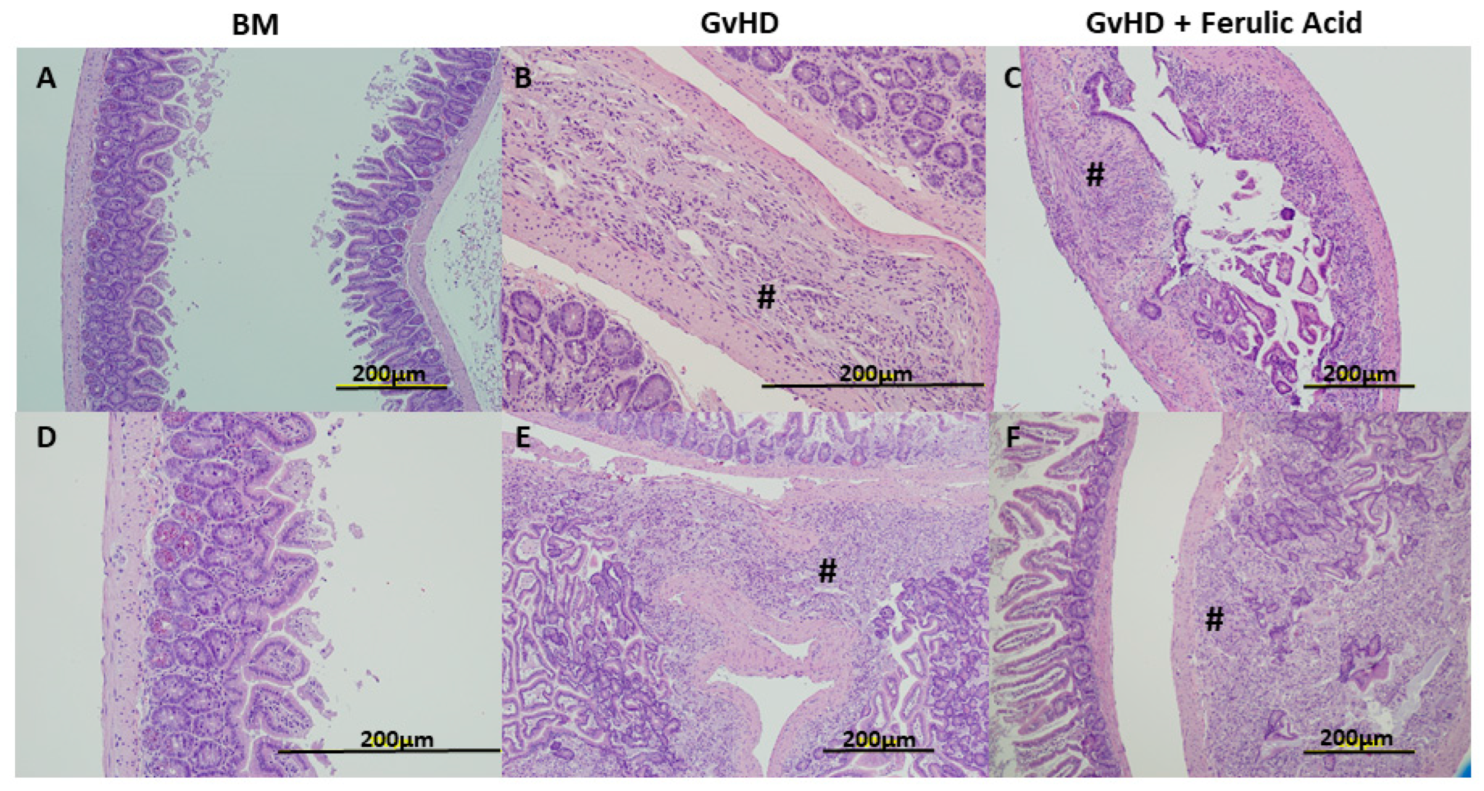 Nutrients 15 04582 g003
