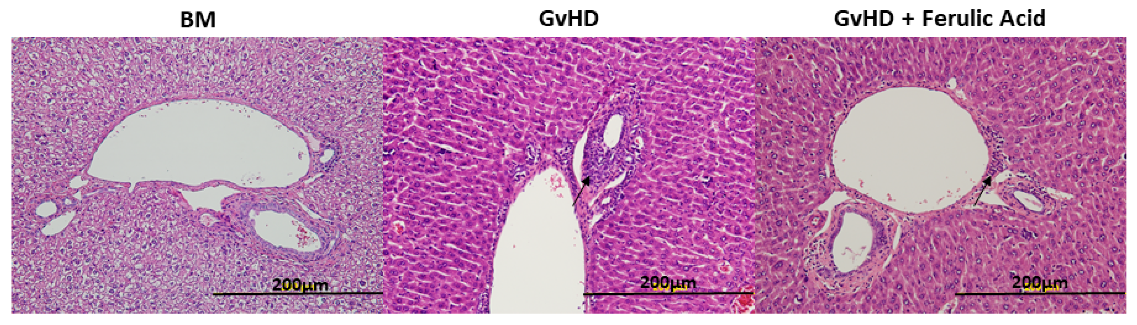 Nutrients 15 04582 g004