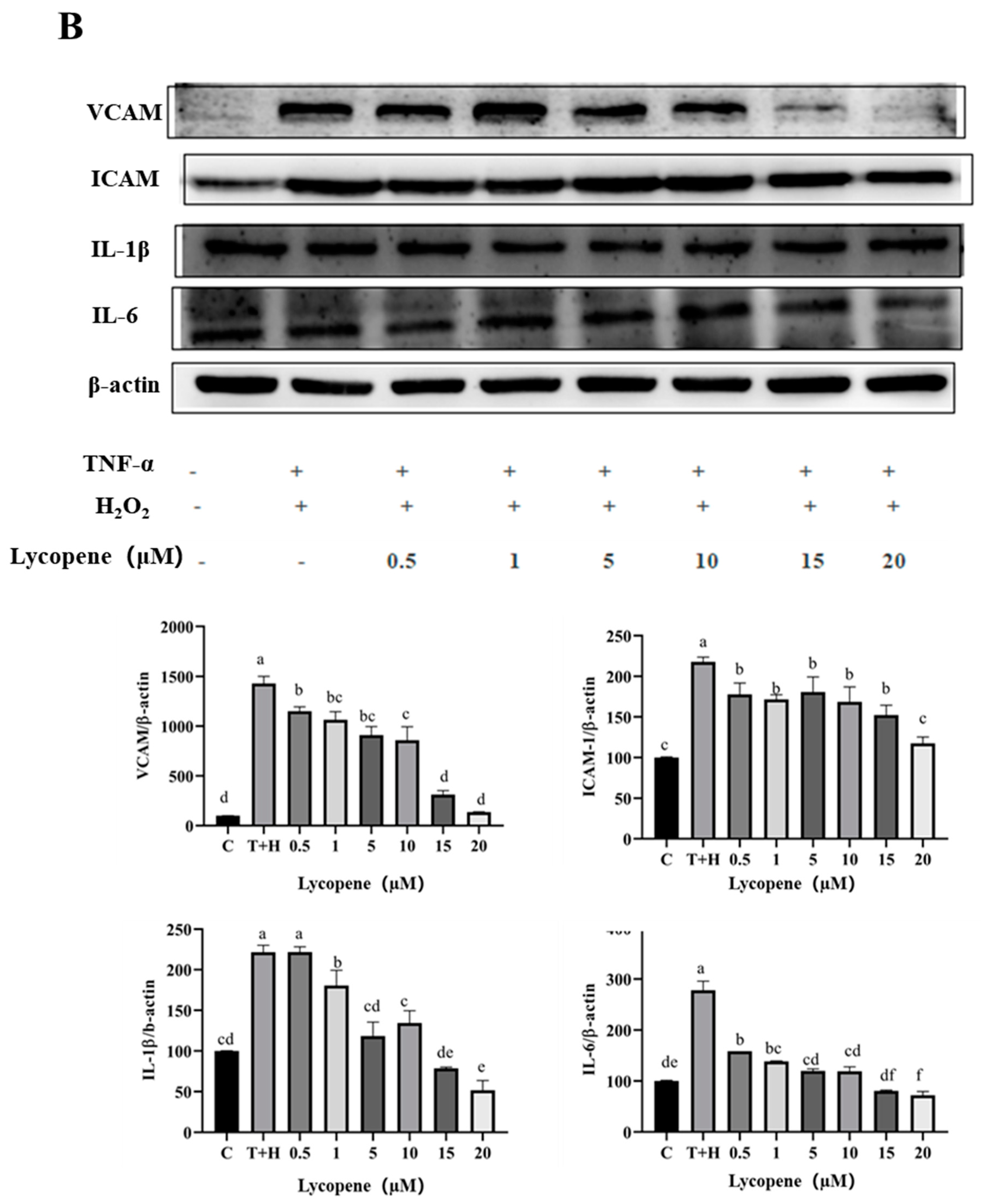 Nutrients 15 04652 g005b