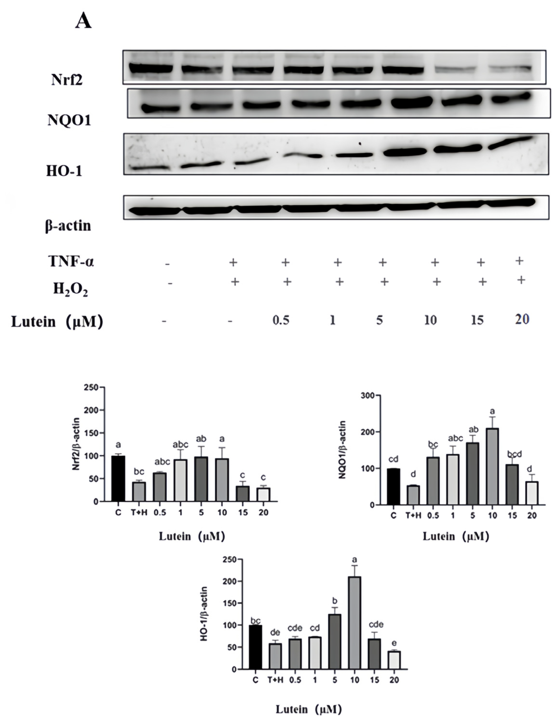Nutrients 15 04652 g008a