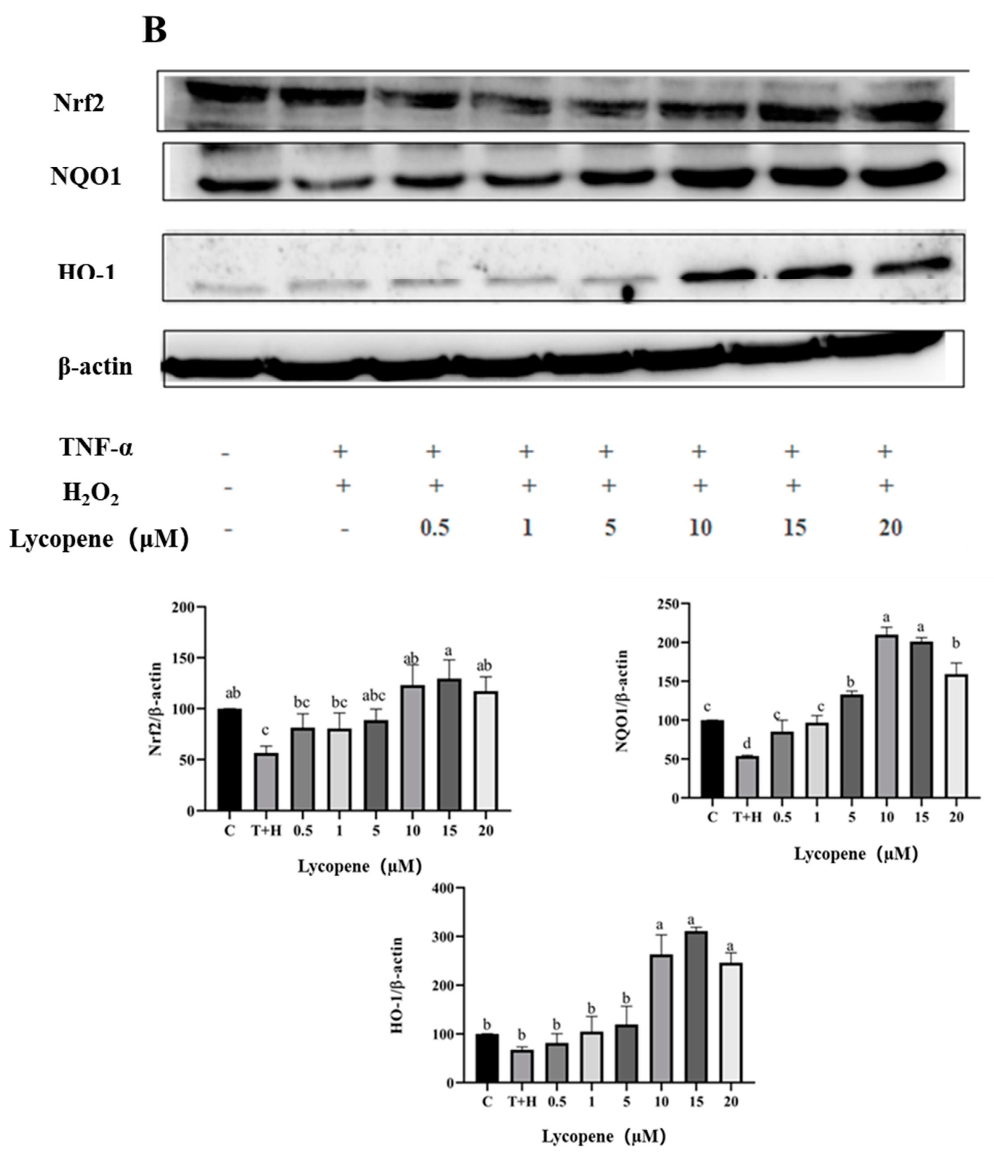 Nutrients 15 04652 g008b
