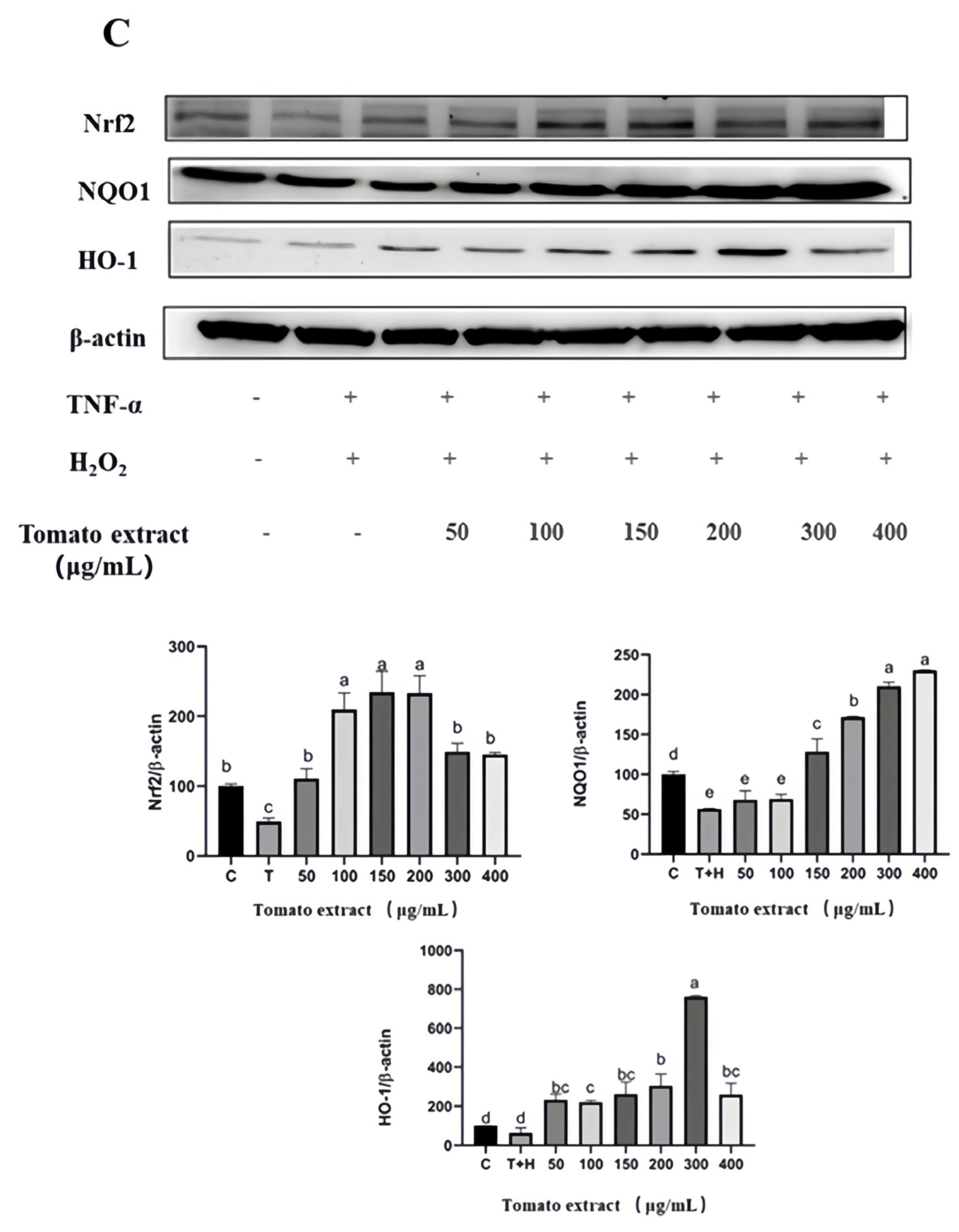 Nutrients 15 04652 g008c