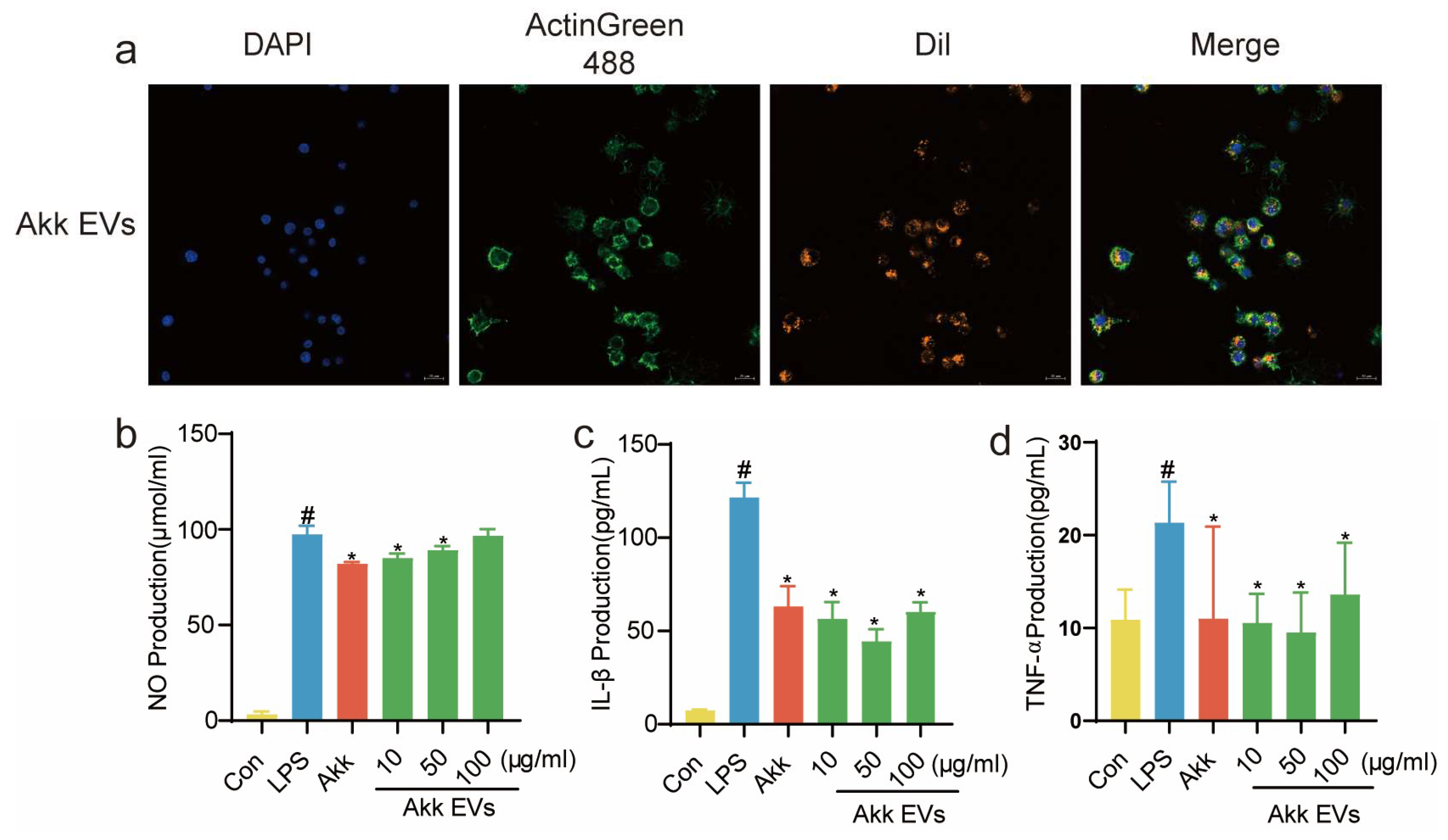 Nutrients 15 04722 g002