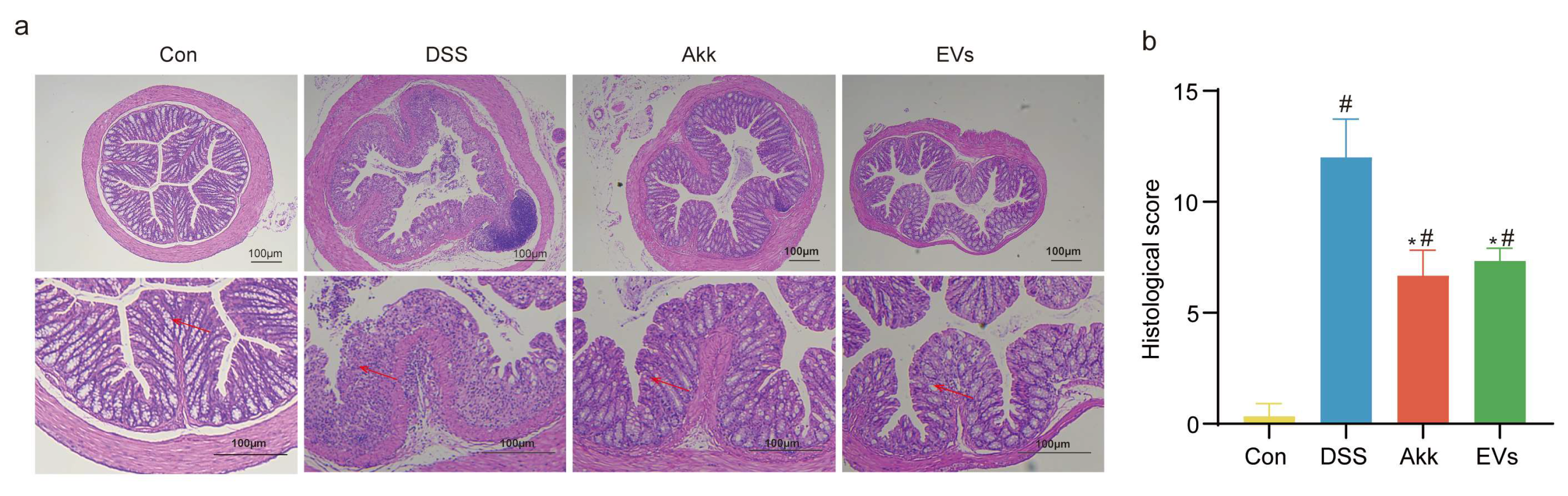 Nutrients 15 04722 g004