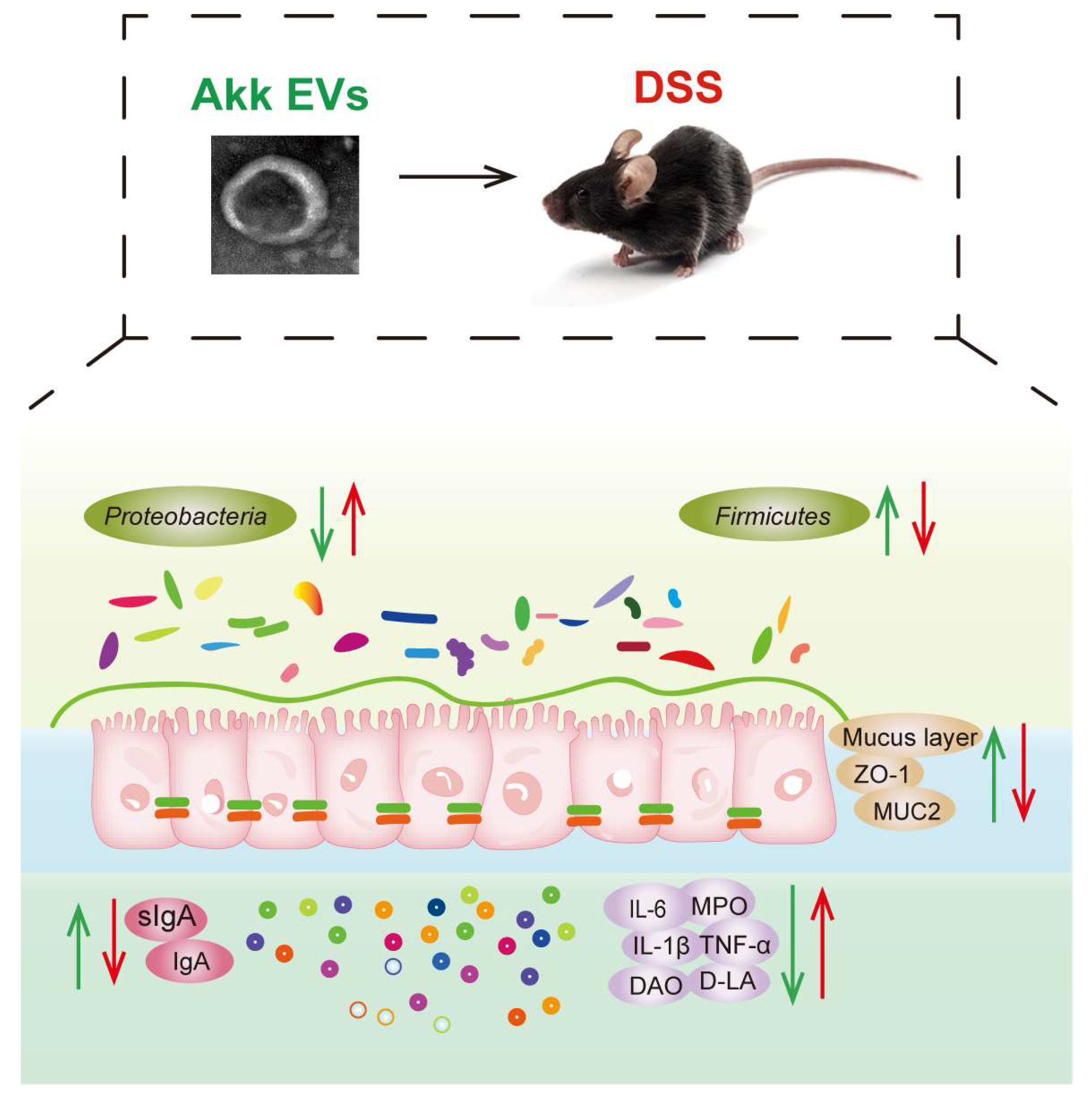 Nutrients 15 04722 g010