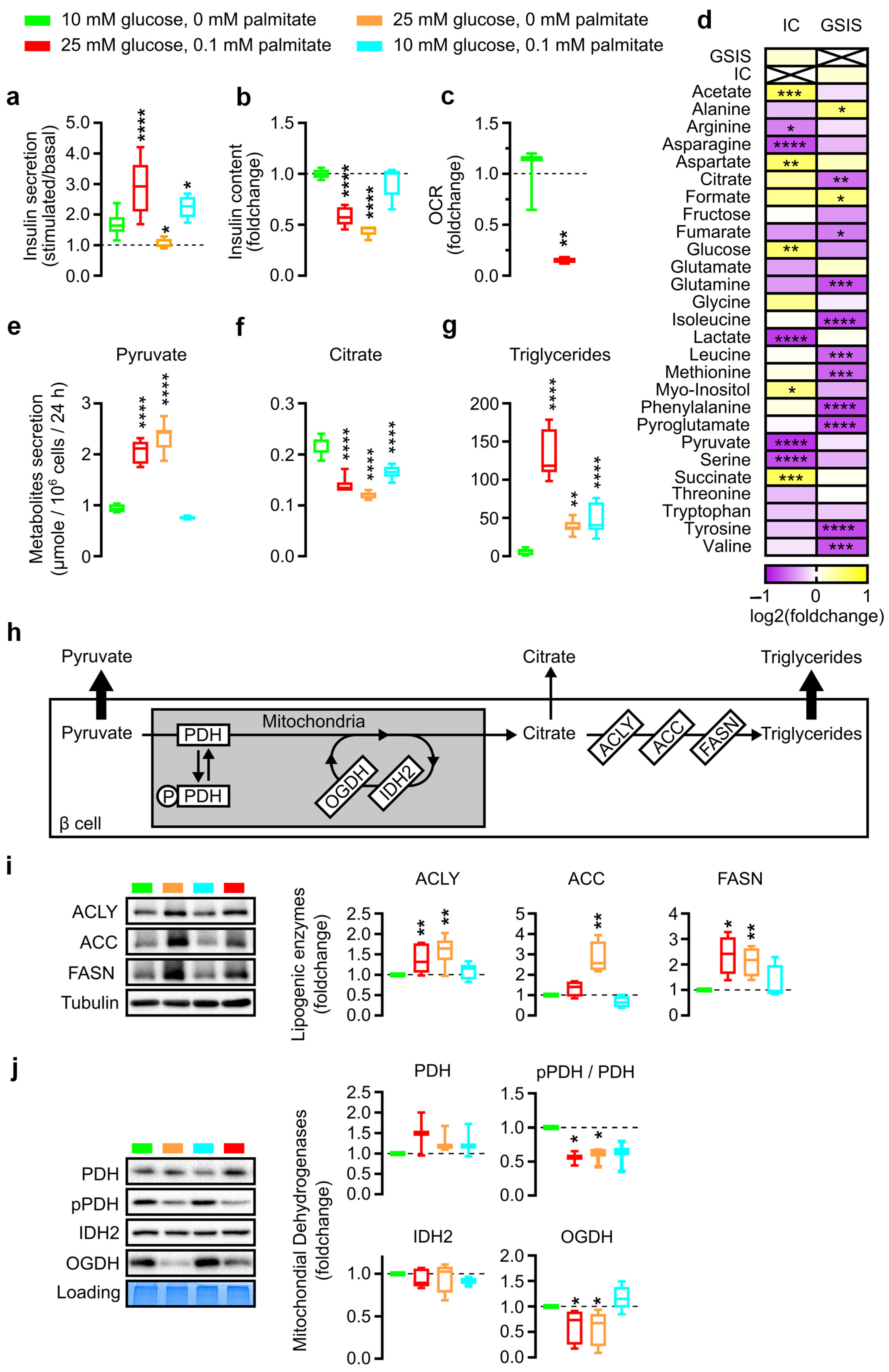 Nutrients 15 04791 g002
