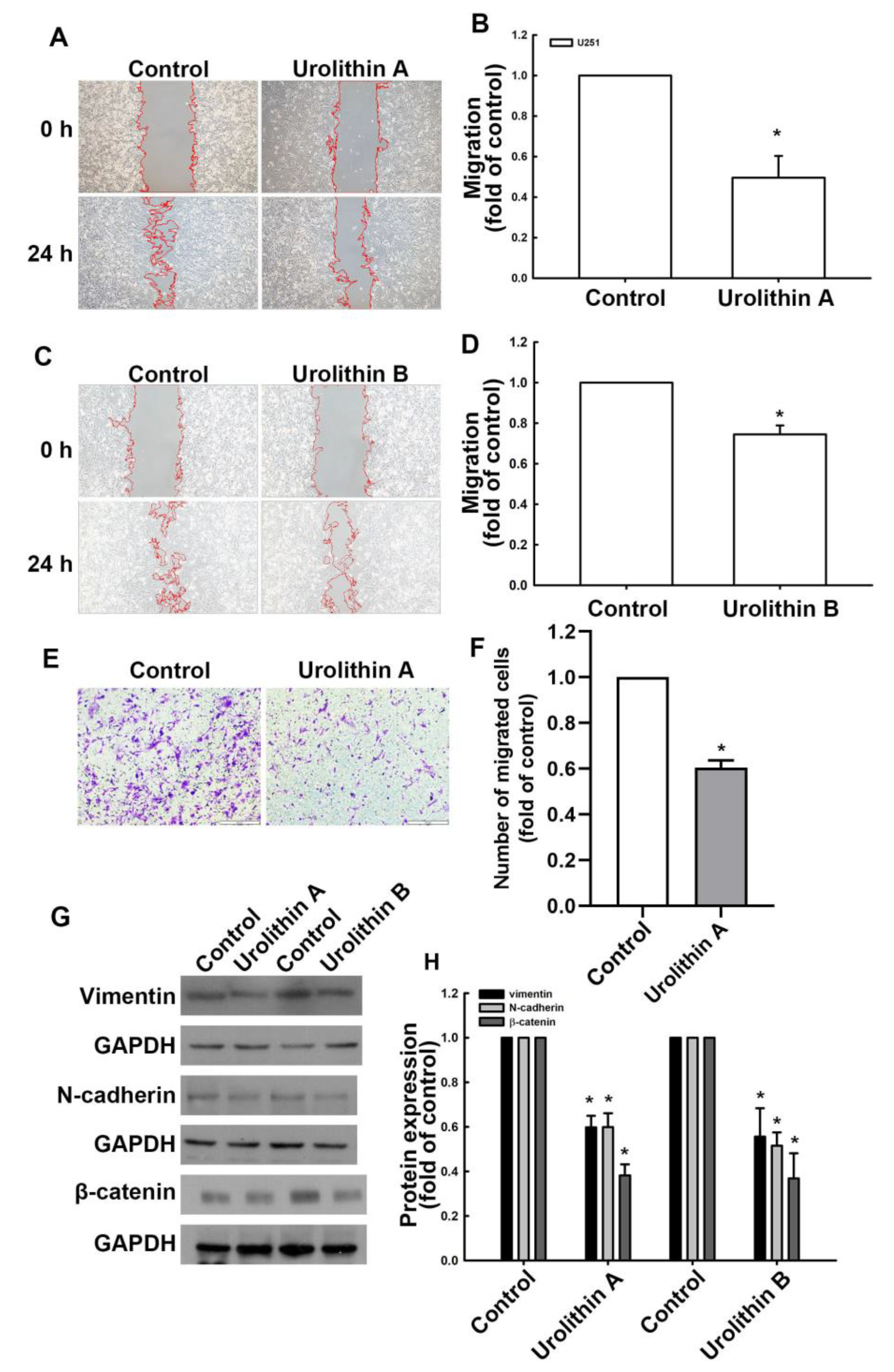 Nutrients 15 04854 g001