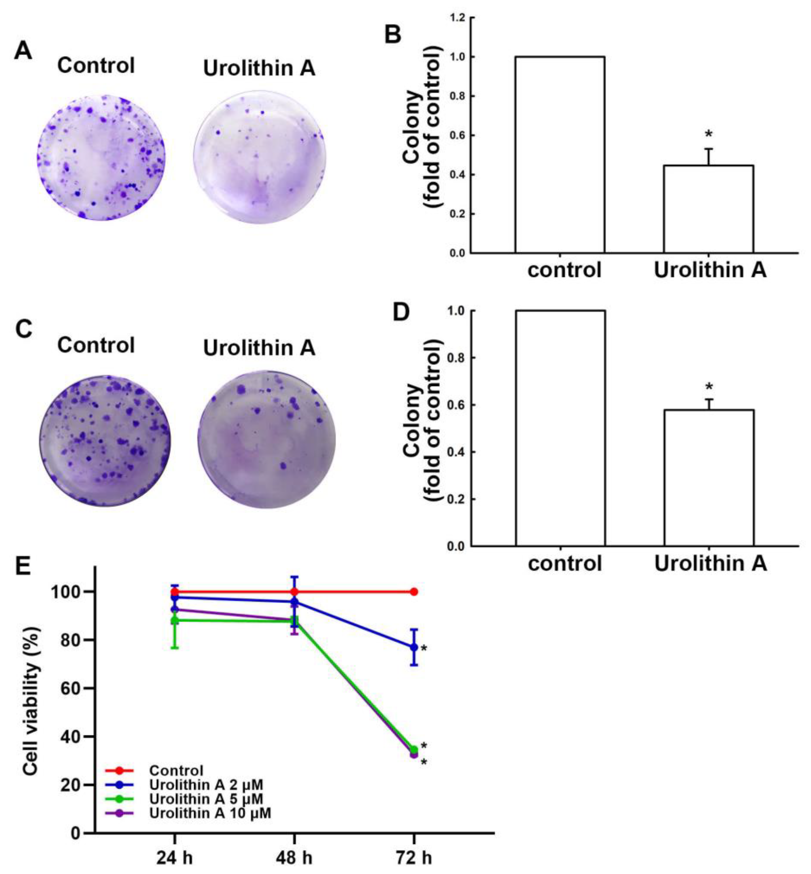 Nutrients 15 04854 g002