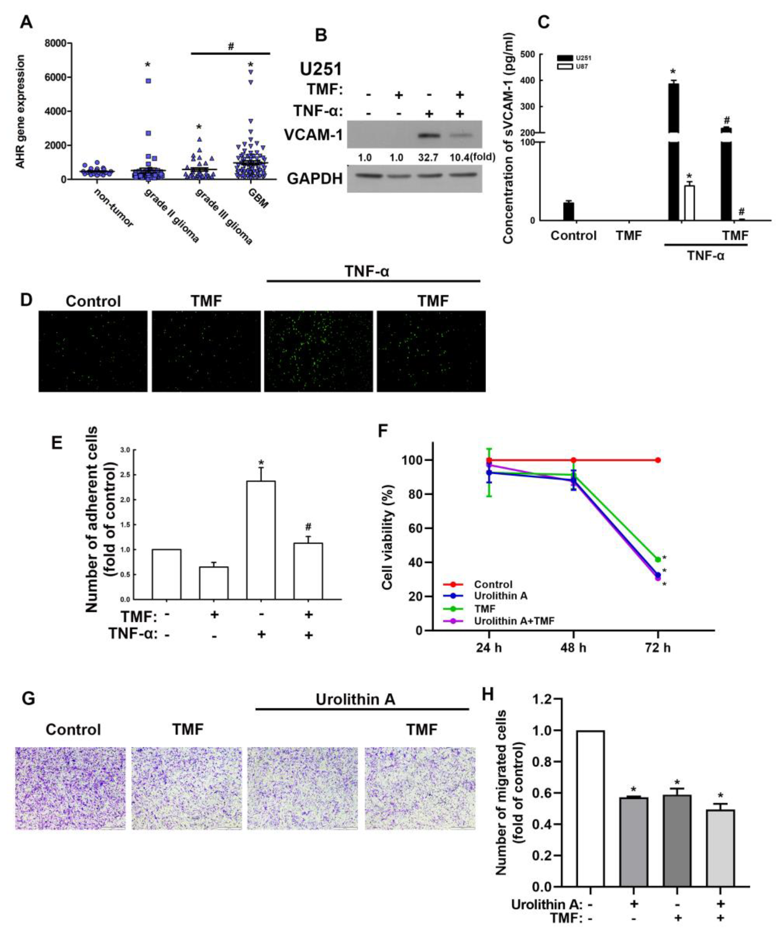 Nutrients 15 04854 g004