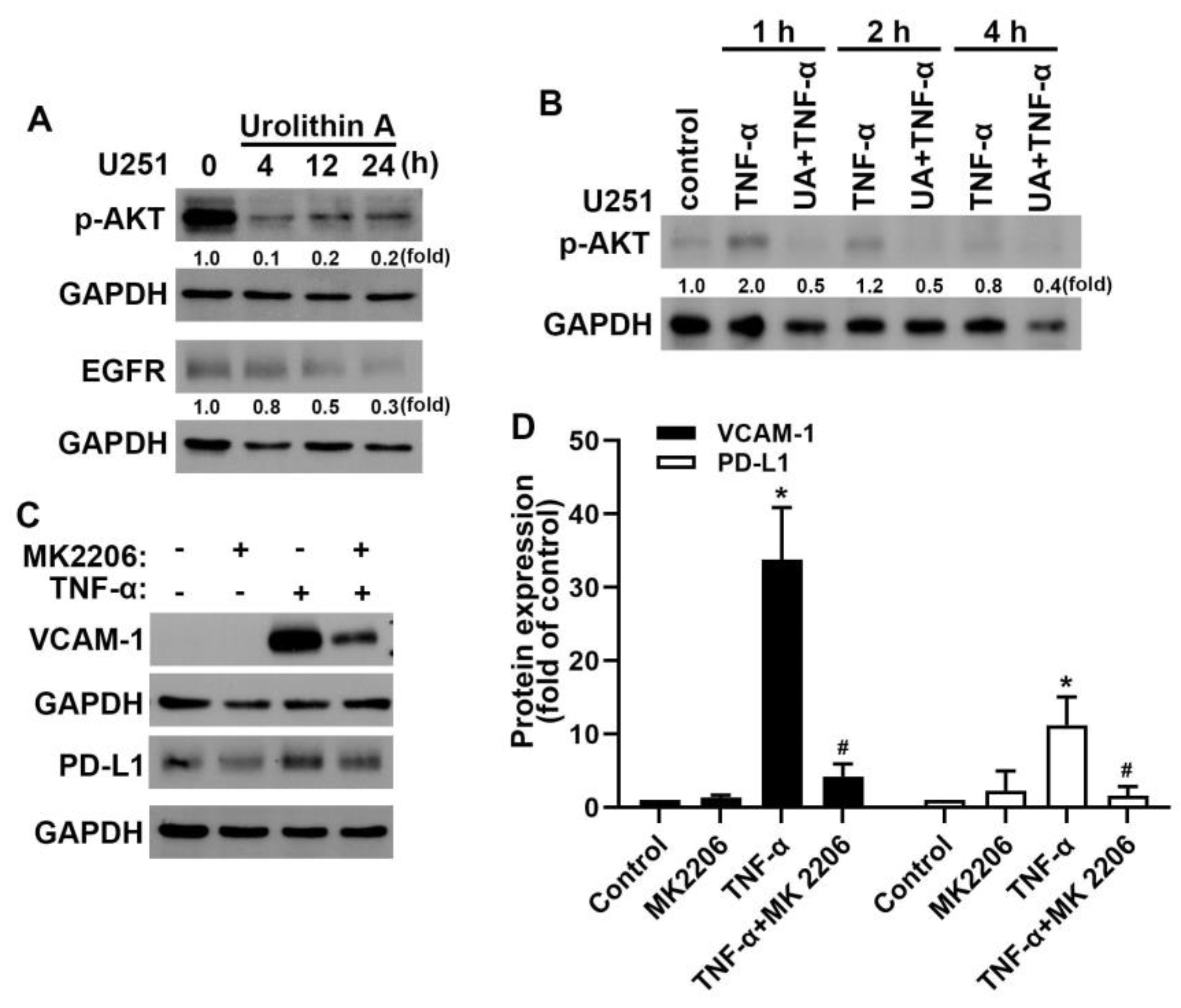 Nutrients 15 04854 g006