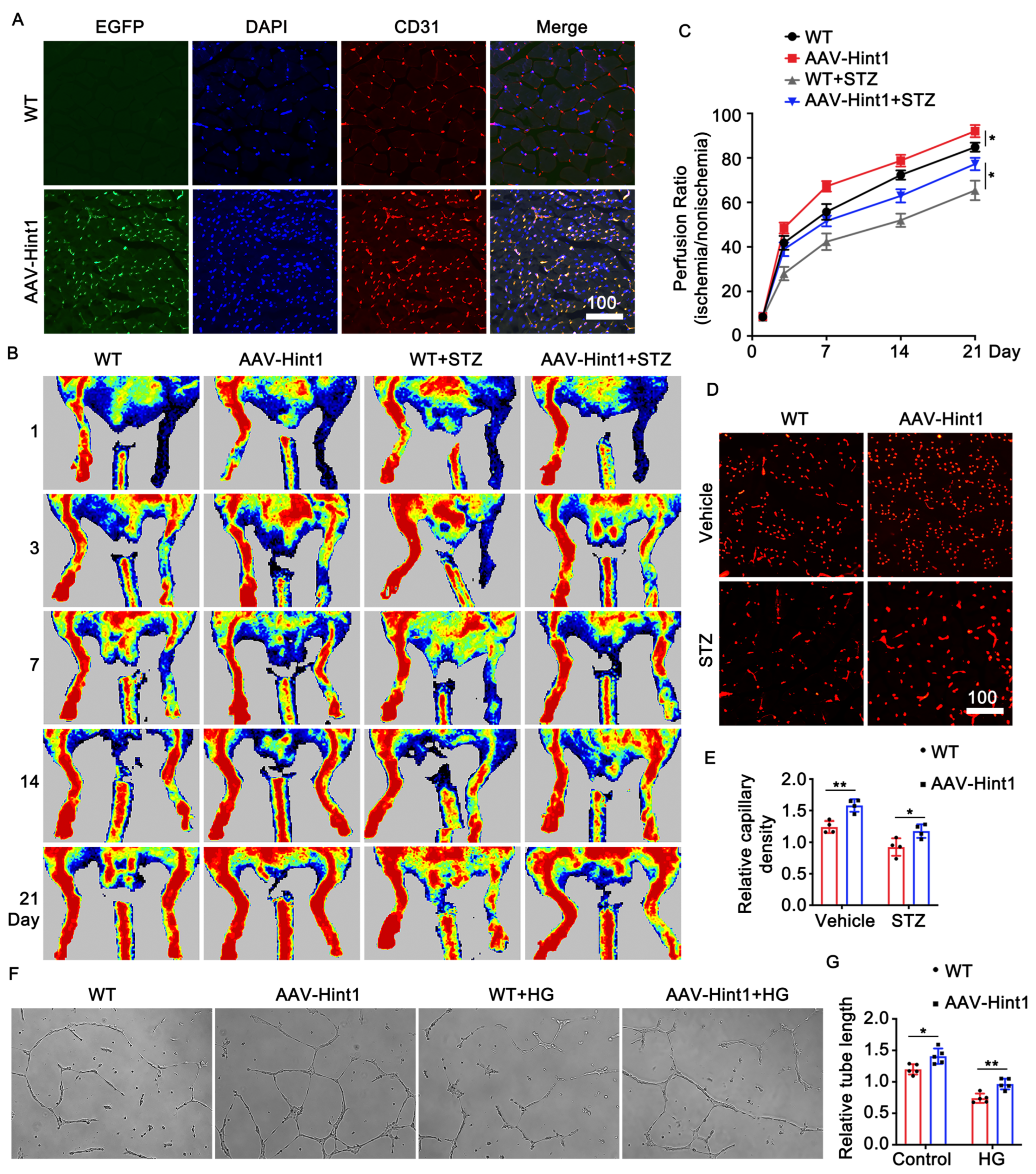 Nutrients 15 04859 g003