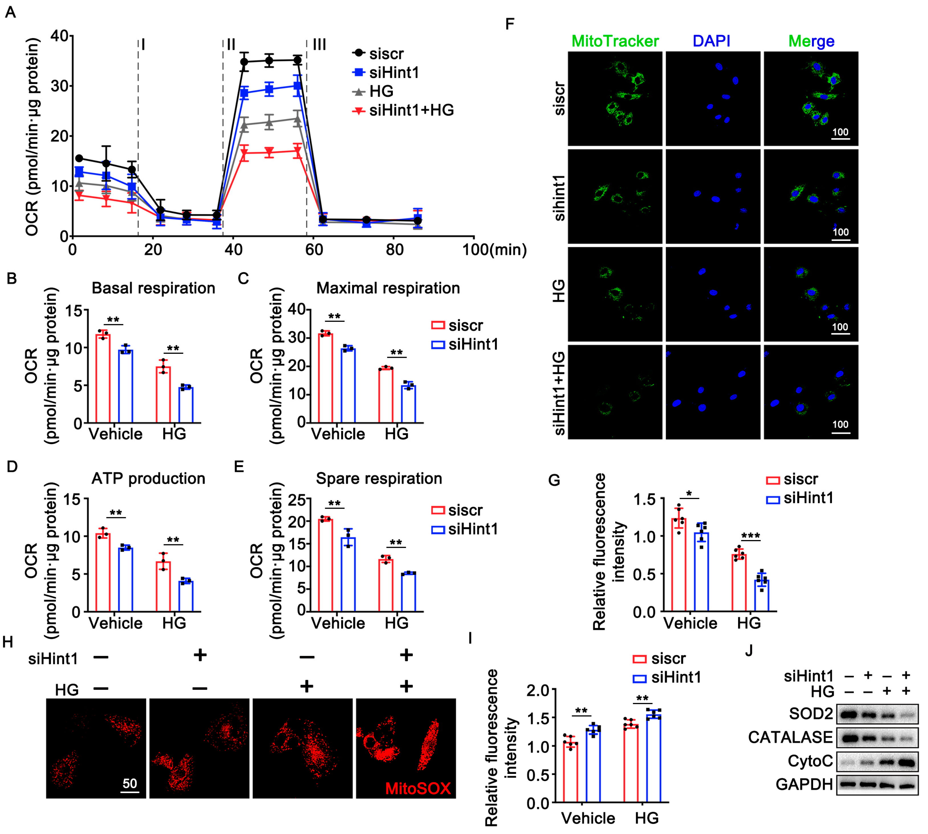 Nutrients 15 04859 g004