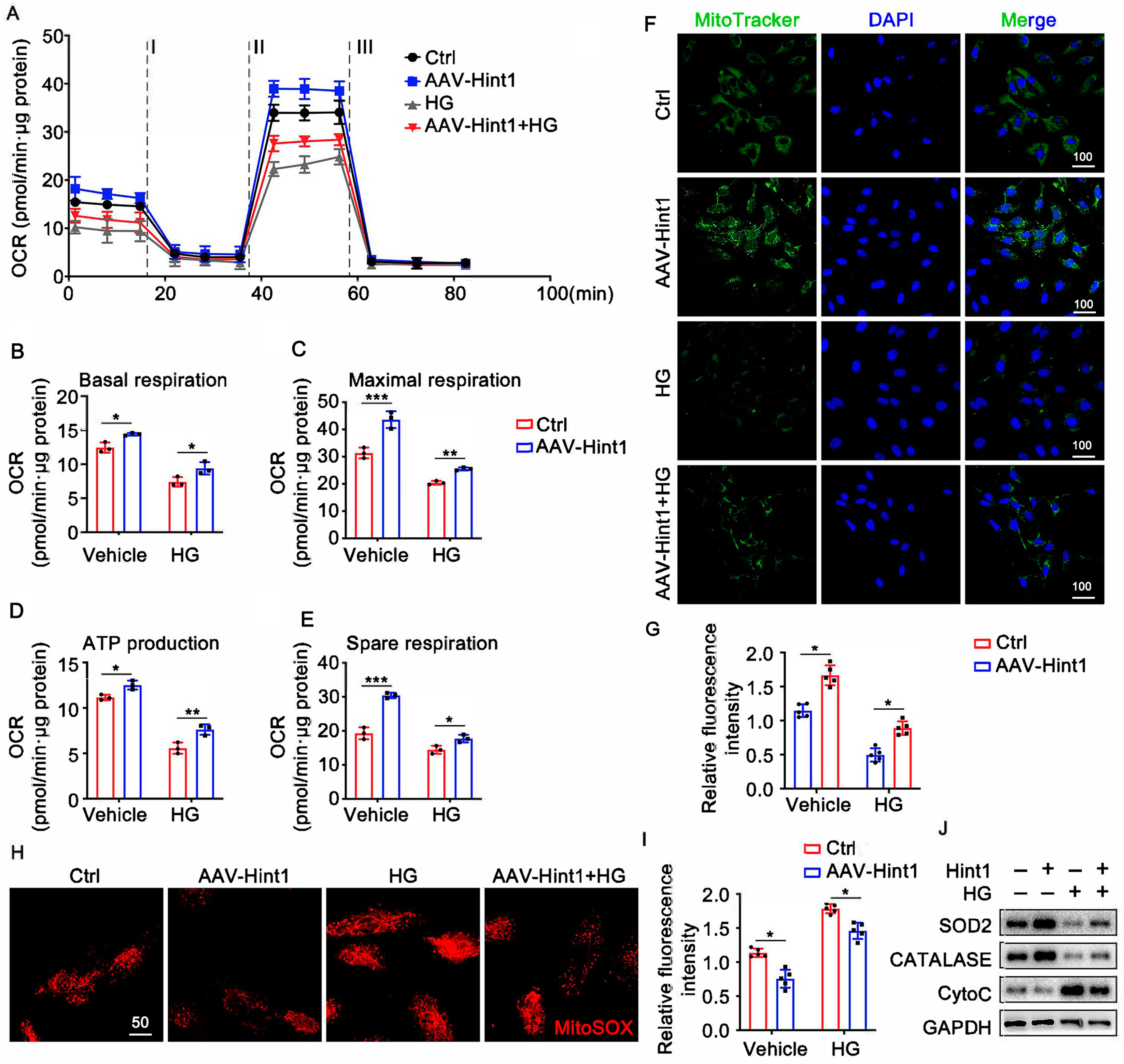 Nutrients 15 04859 g005
