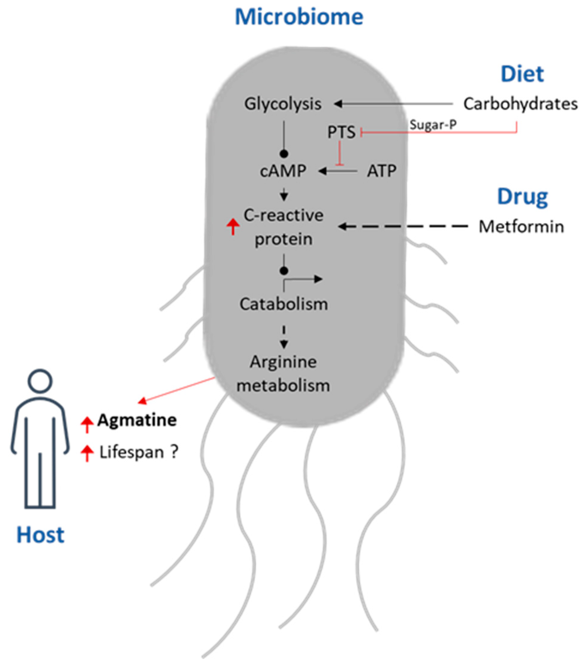 Nutrients 15 04900 g001